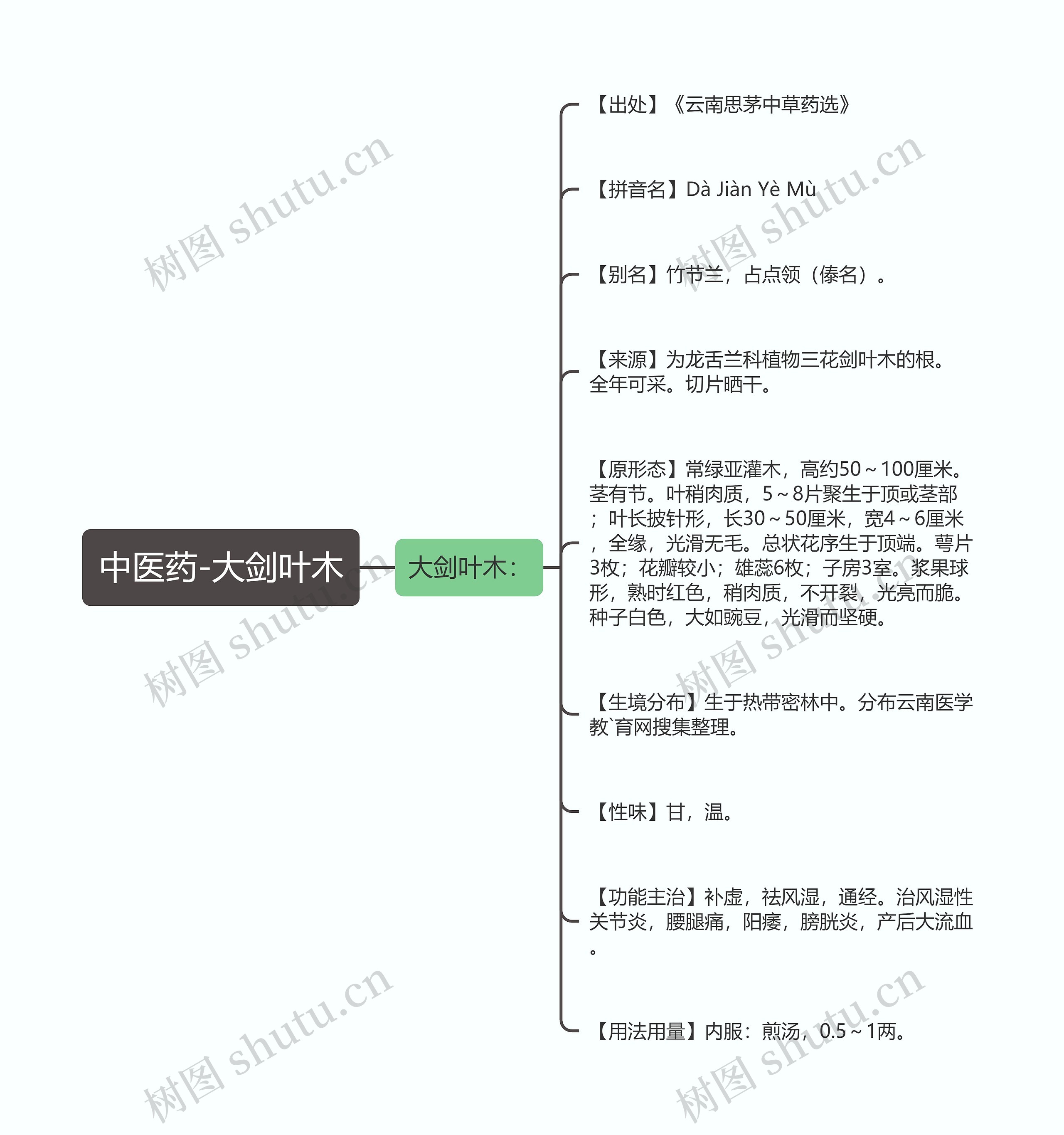 中医药-大剑叶木思维导图