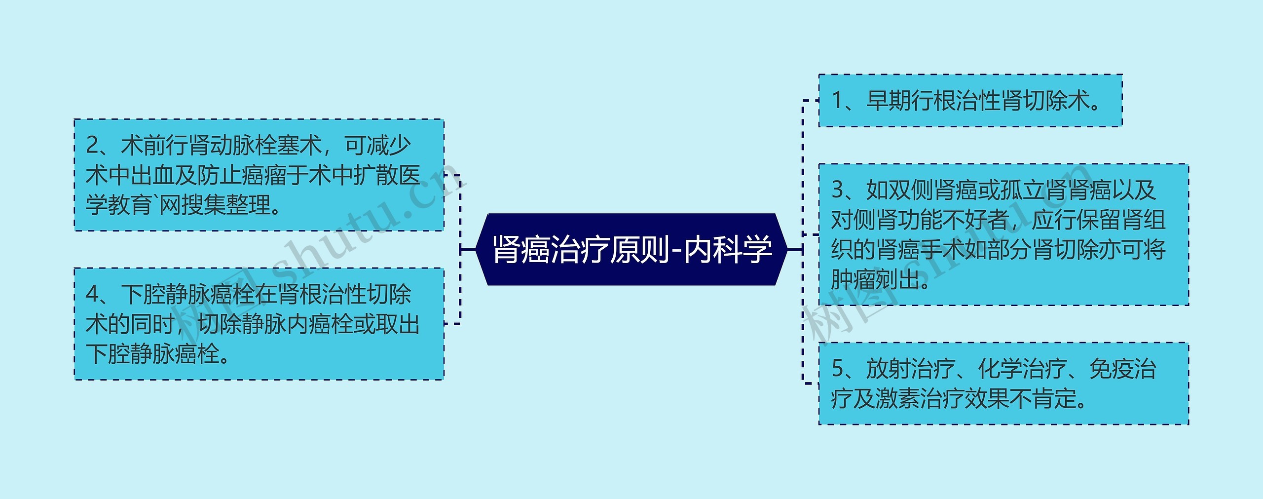 肾癌治疗原则-内科学思维导图