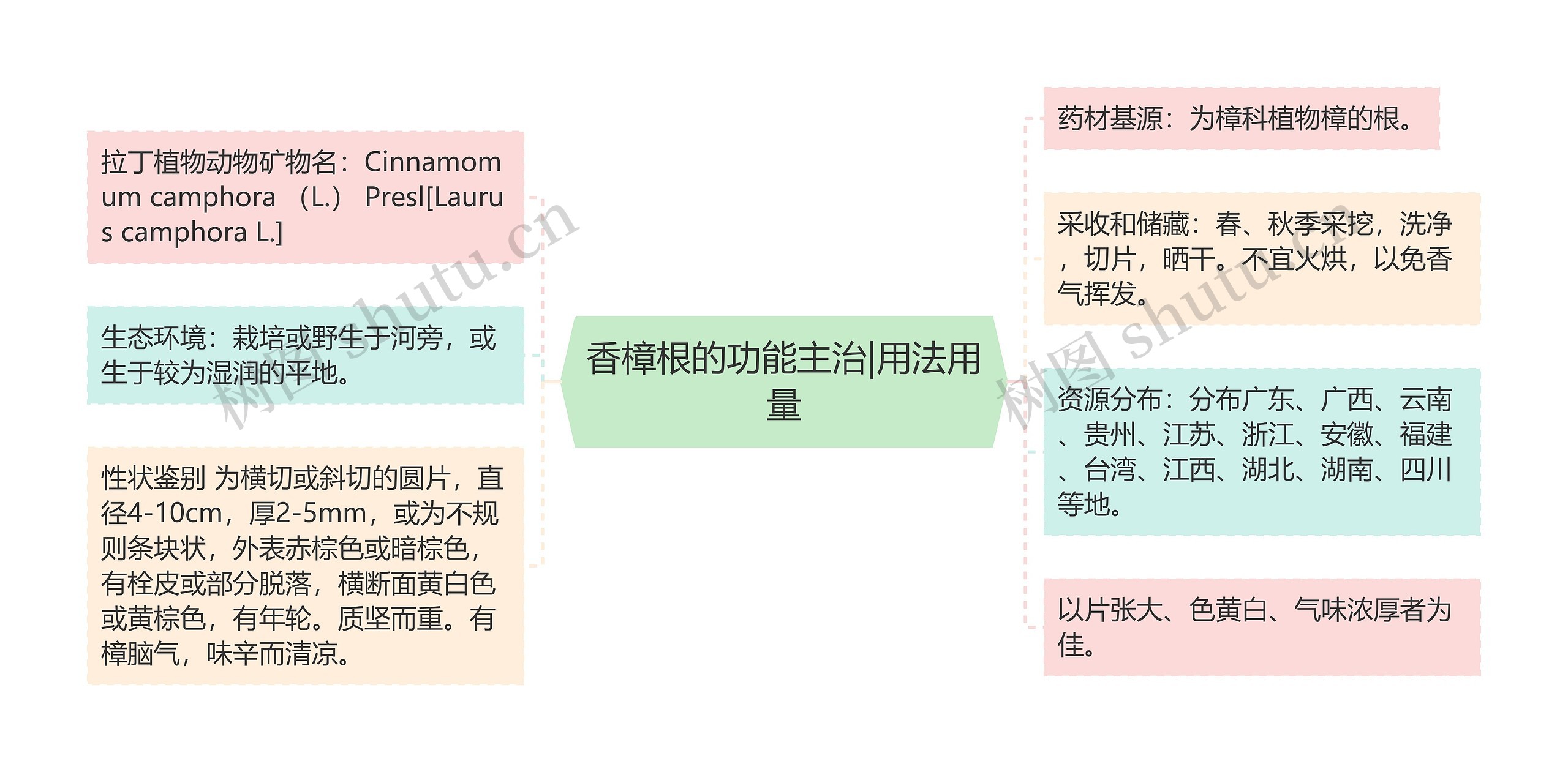 香樟根的功能主治|用法用量