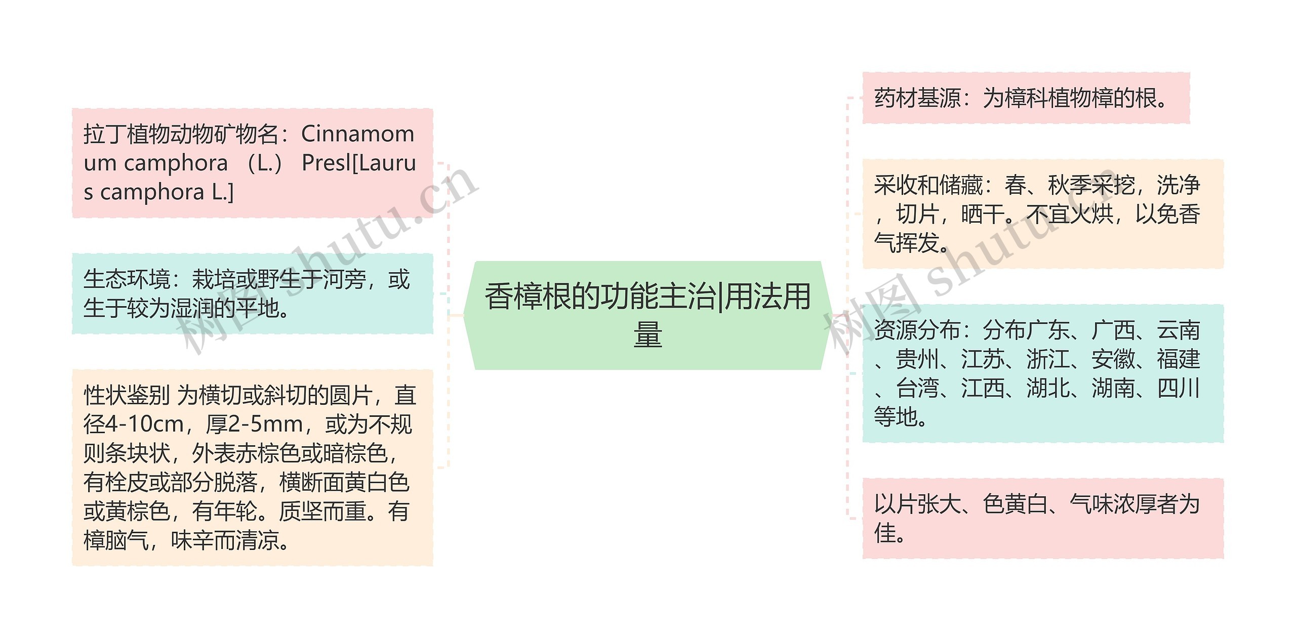 香樟根的功能主治|用法用量思维导图