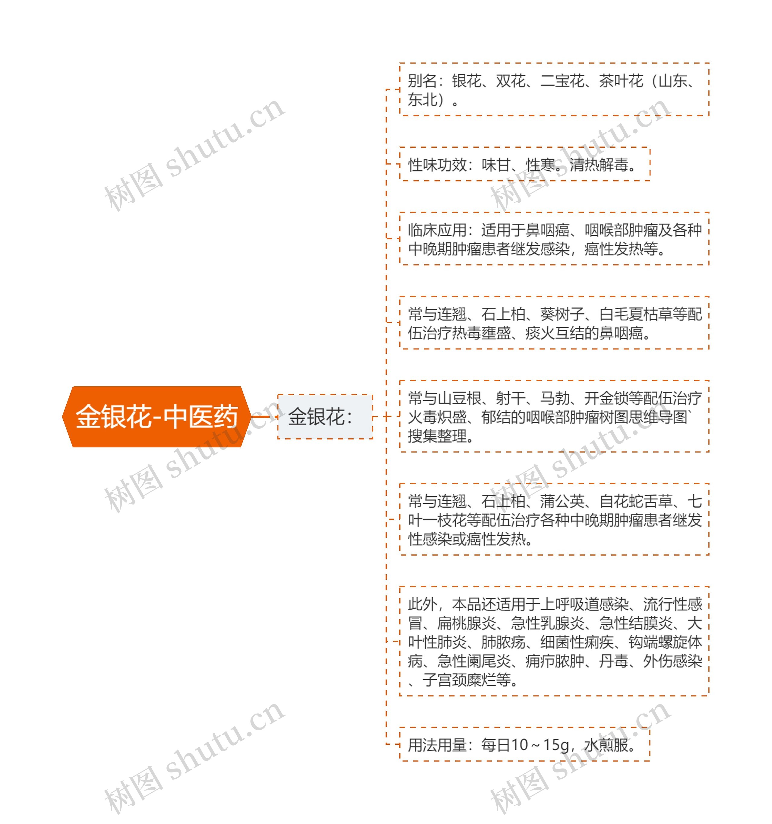 金银花-中医药思维导图