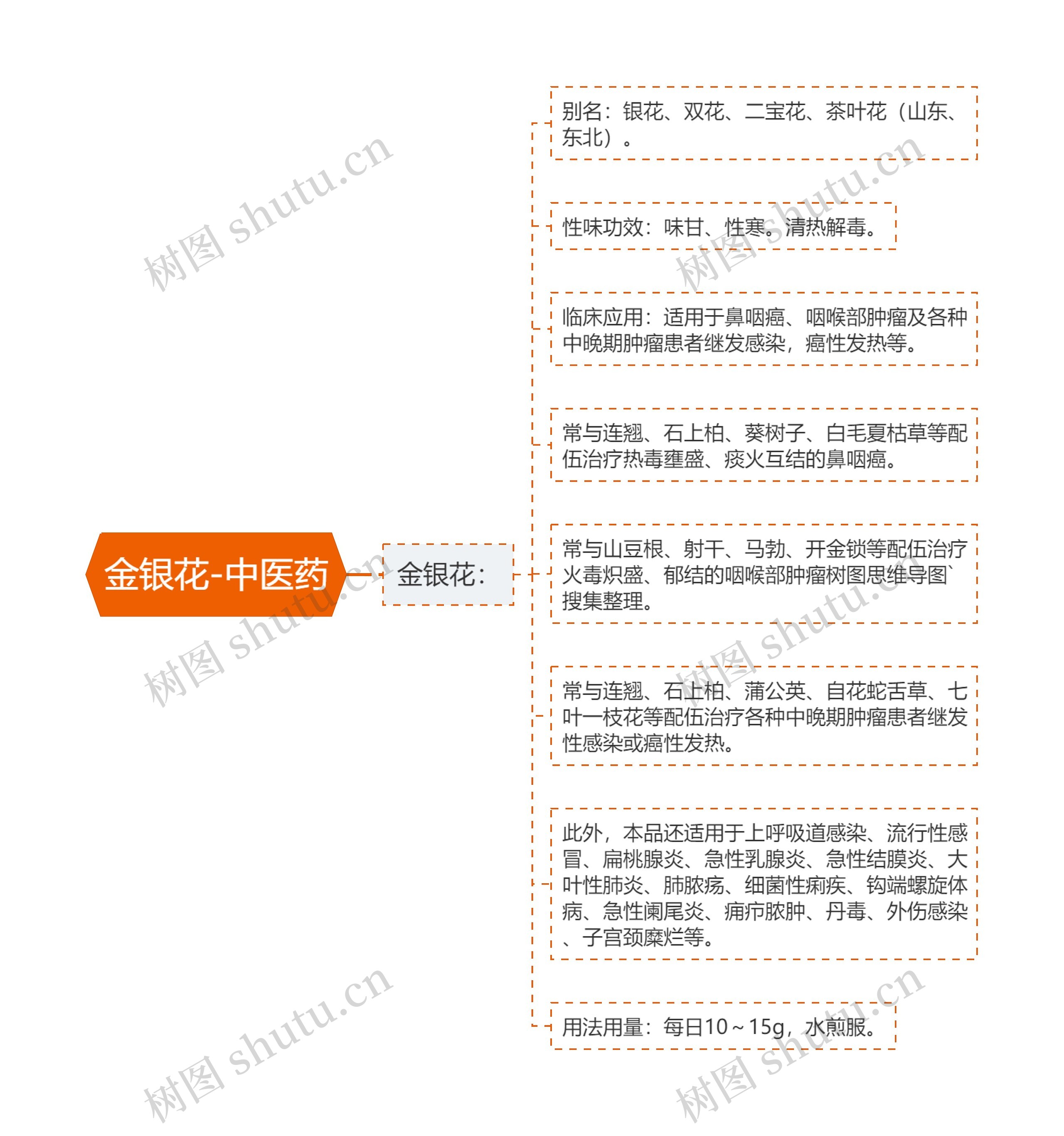 金银花-中医药 金银花-中医药