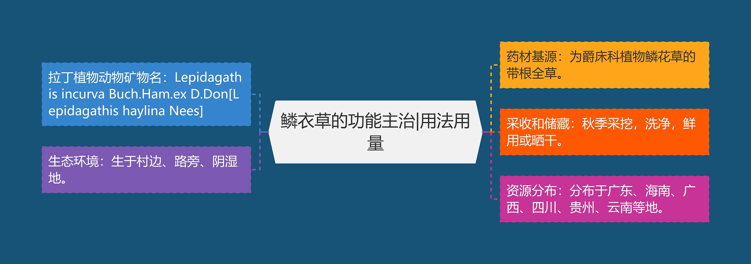 鳞衣草的功能主治|用法用量 鳞衣草的功能主治|用法用量