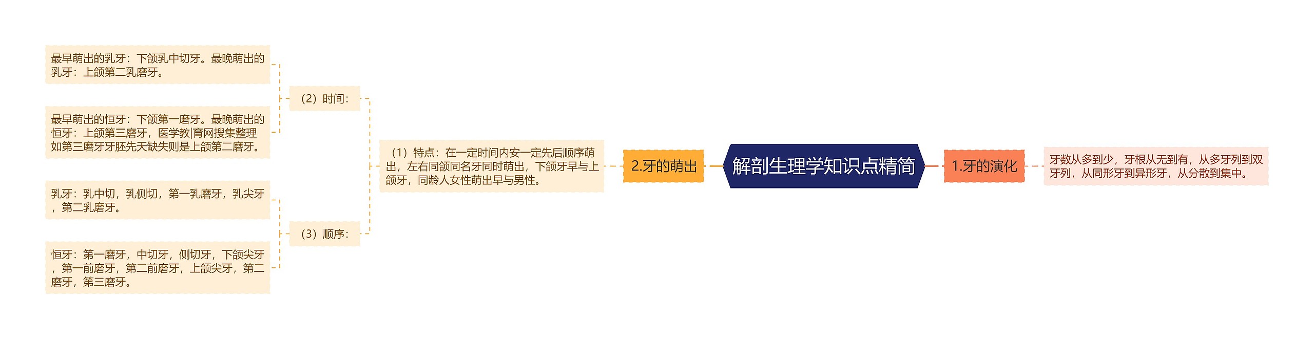 解剖生理学知识点精简 解剖生理学知识点精简
