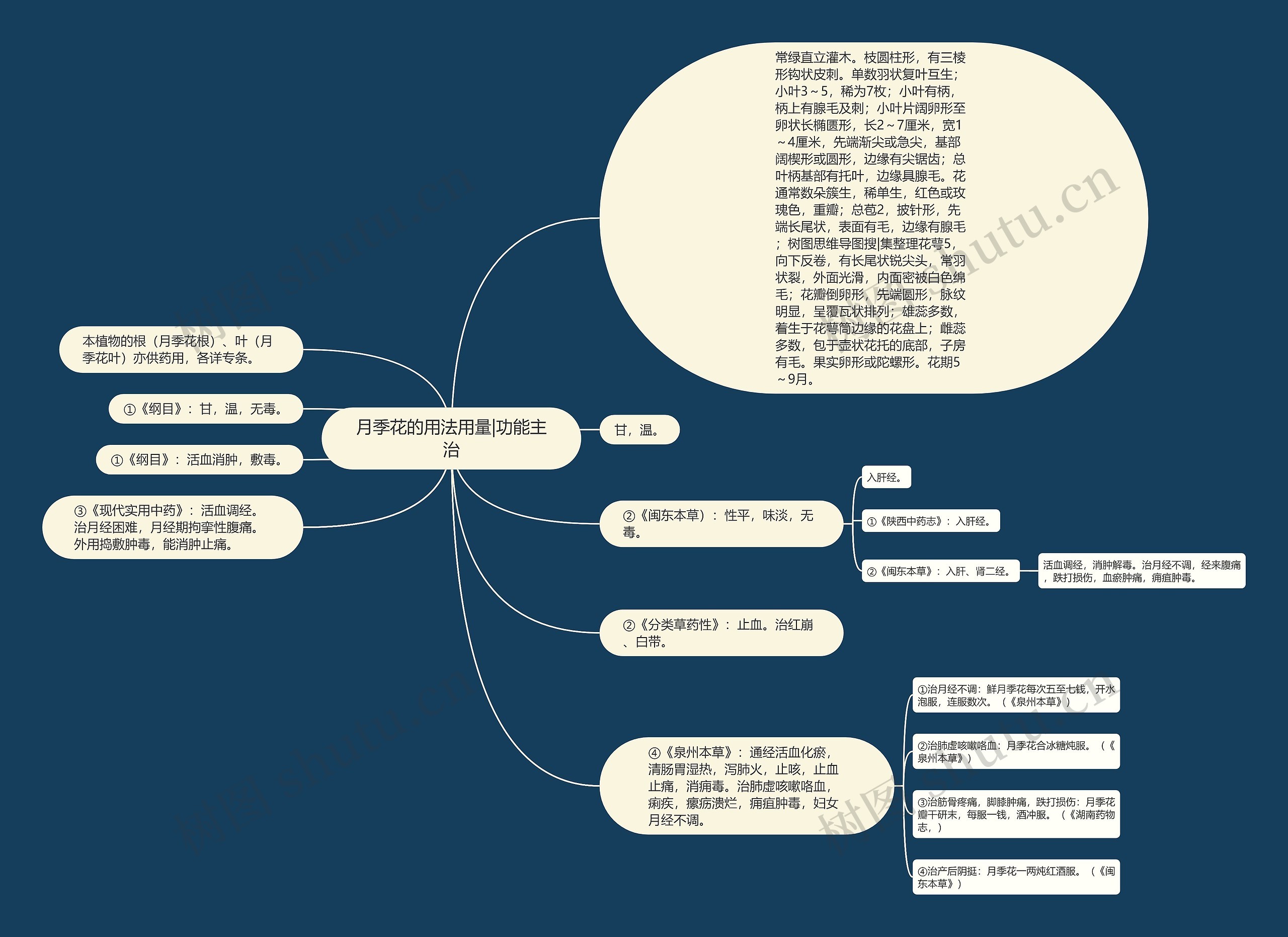 月季花的用法用量|功能主治 月季花的用法用量|功能主治