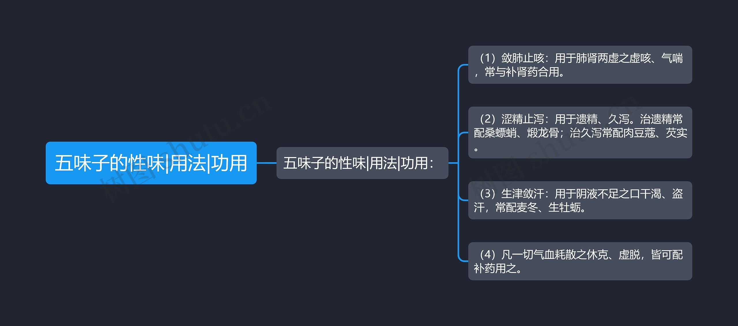 五味子的性味|用法|功用思维导图