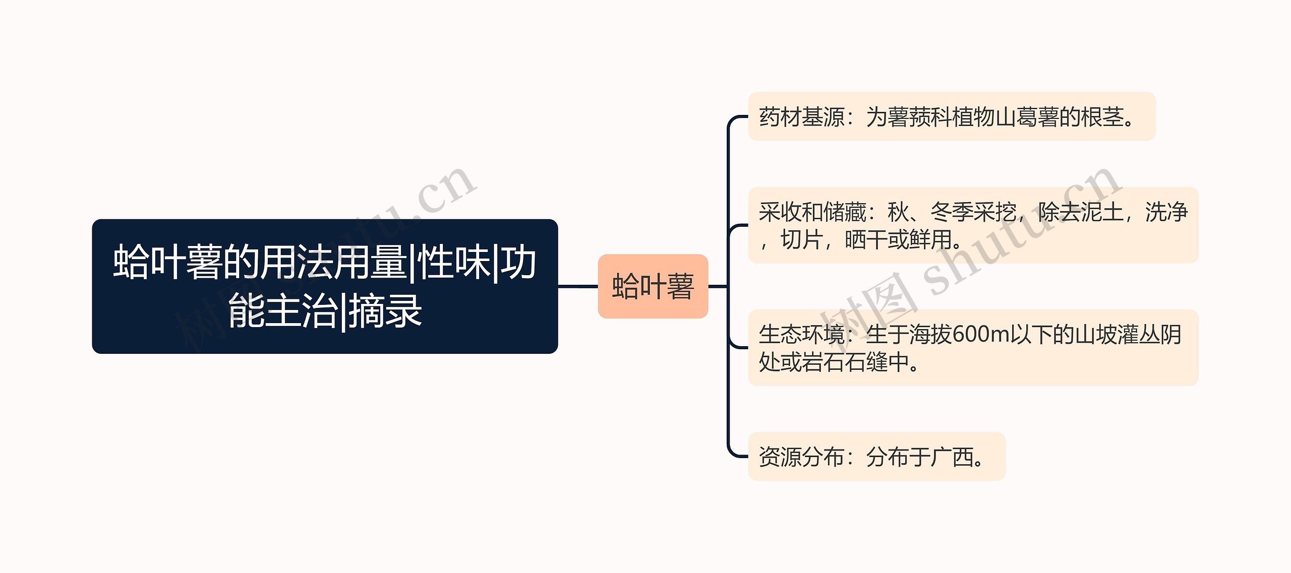 蛤叶薯的用法用量|性味|功能主治|摘录思维导图