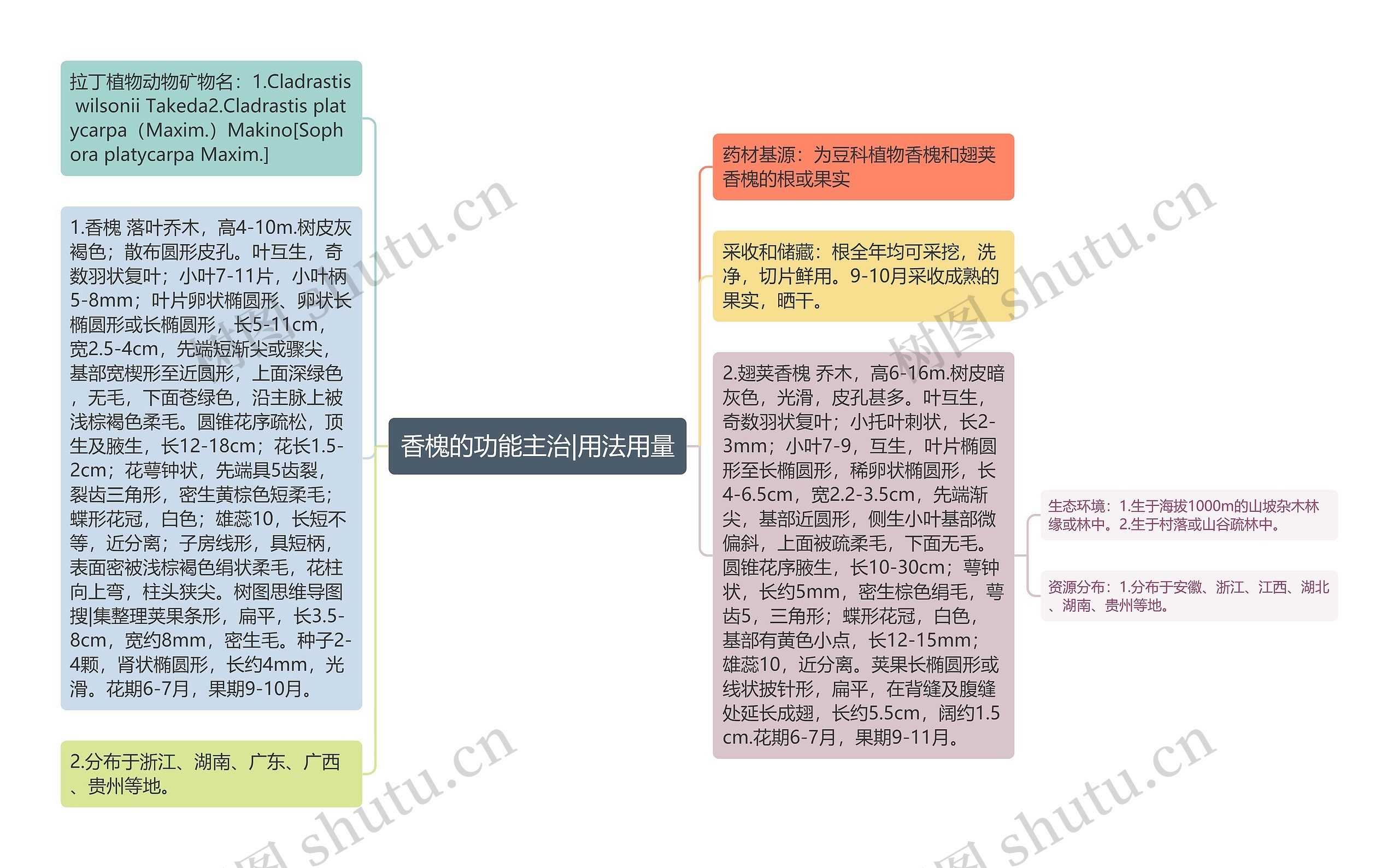 香槐的功能主治|用法用量思维导图