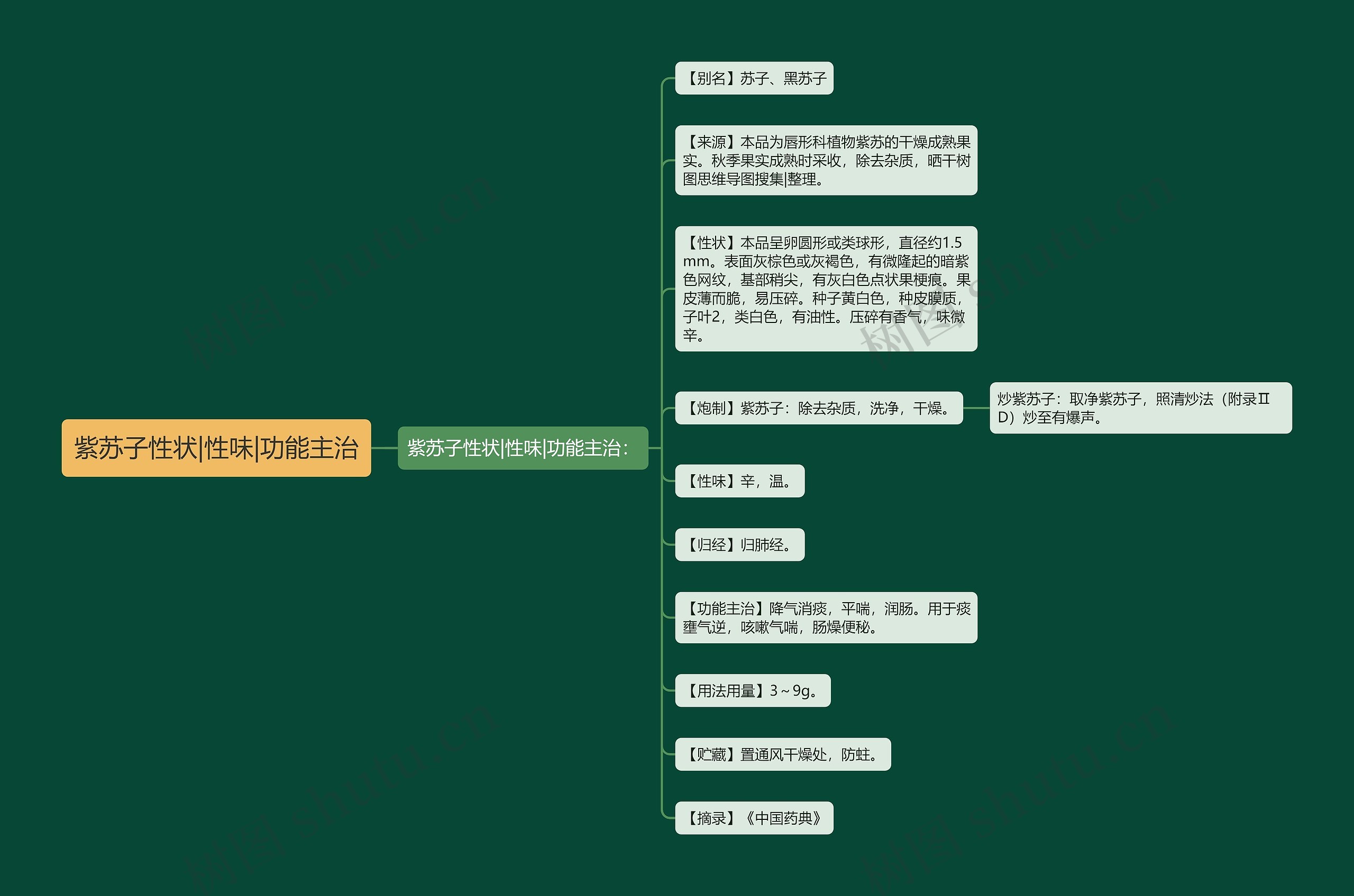 紫苏子性状|性味|功能主治思维导图