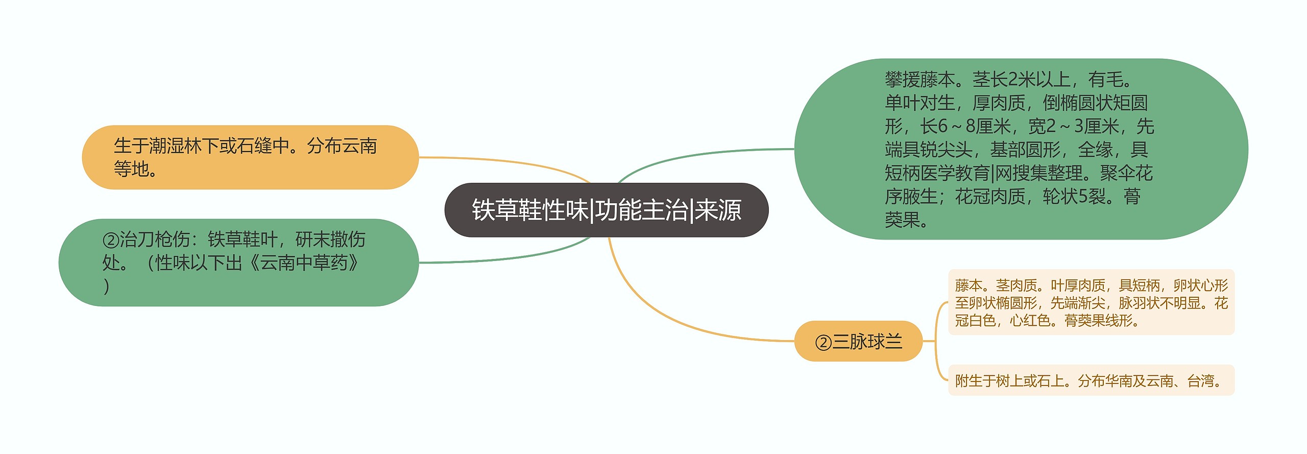 铁草鞋性味|功能主治|来源