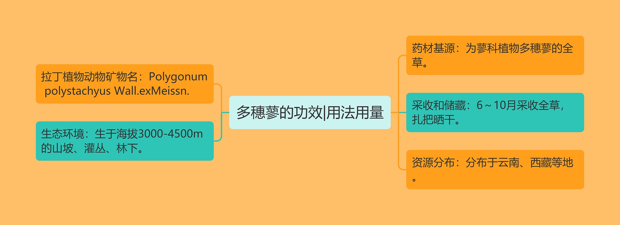 多穗蓼的功效|用法用量