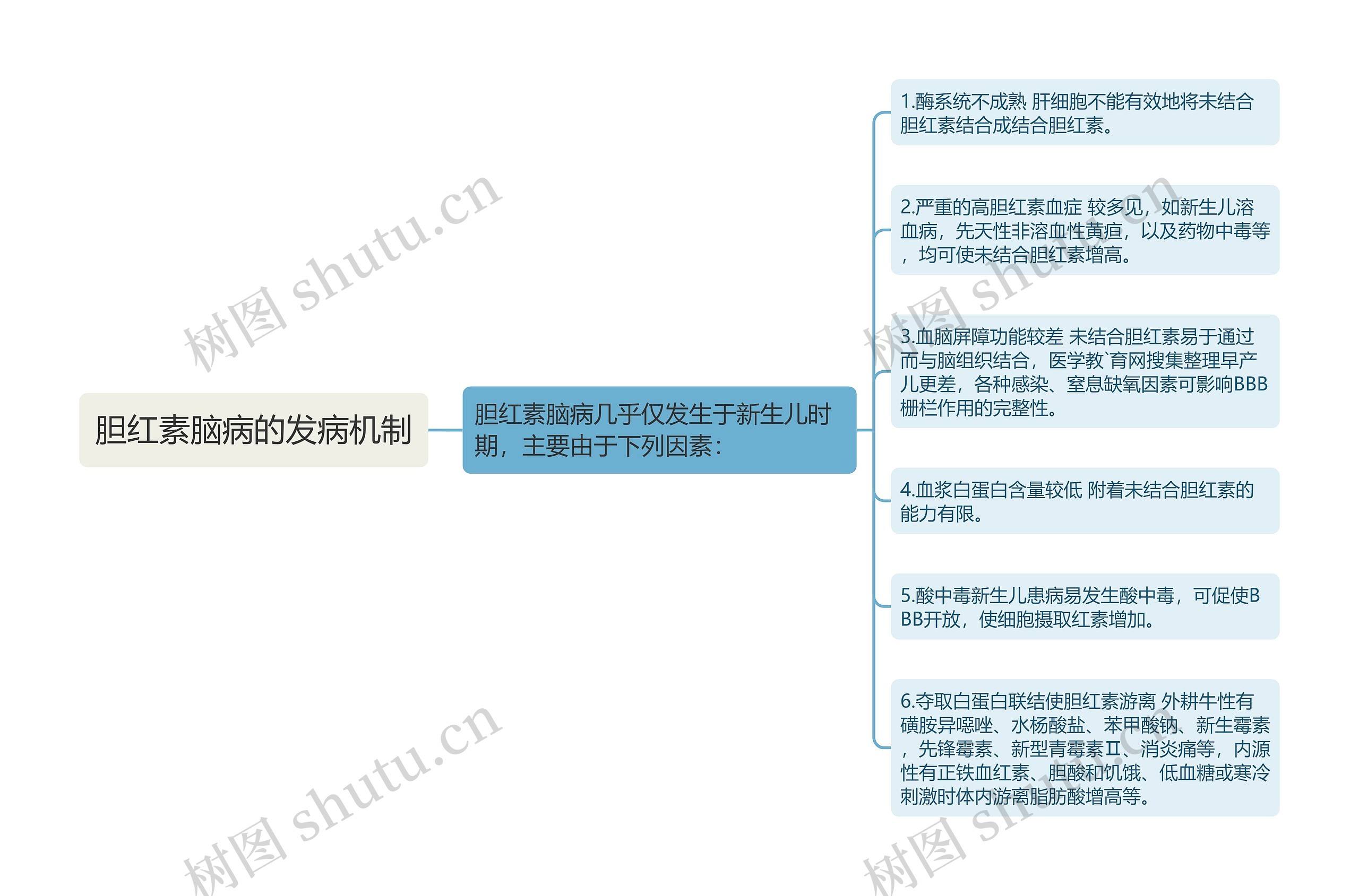 胆红素脑病的发病机制