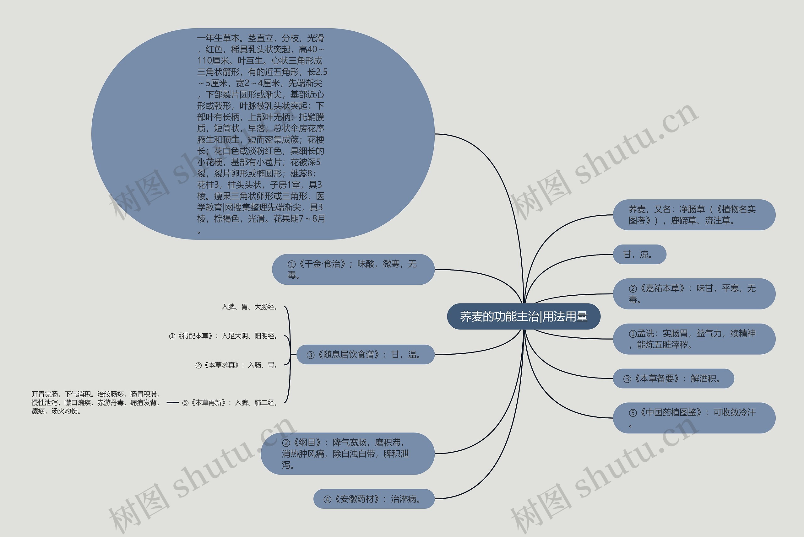 荞麦的功能主治|用法用量思维导图