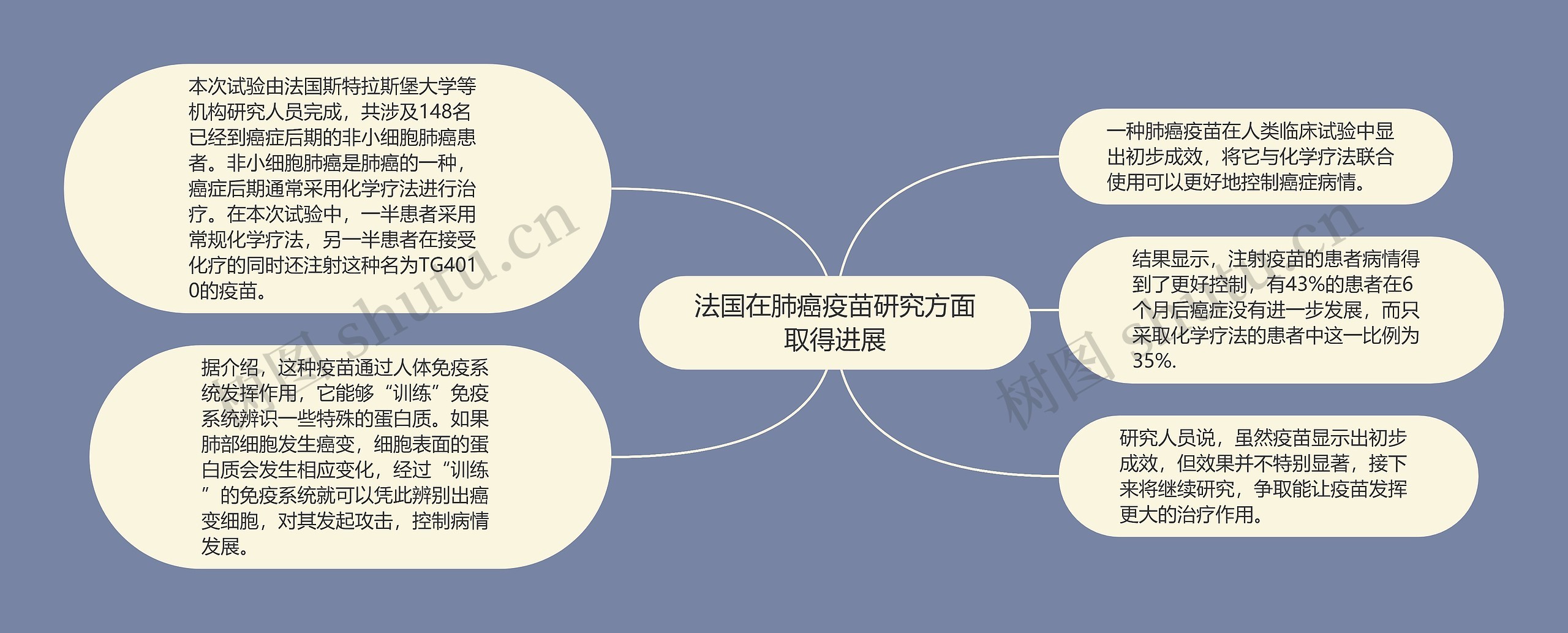 法国在肺癌疫苗研究方面取得进展思维导图