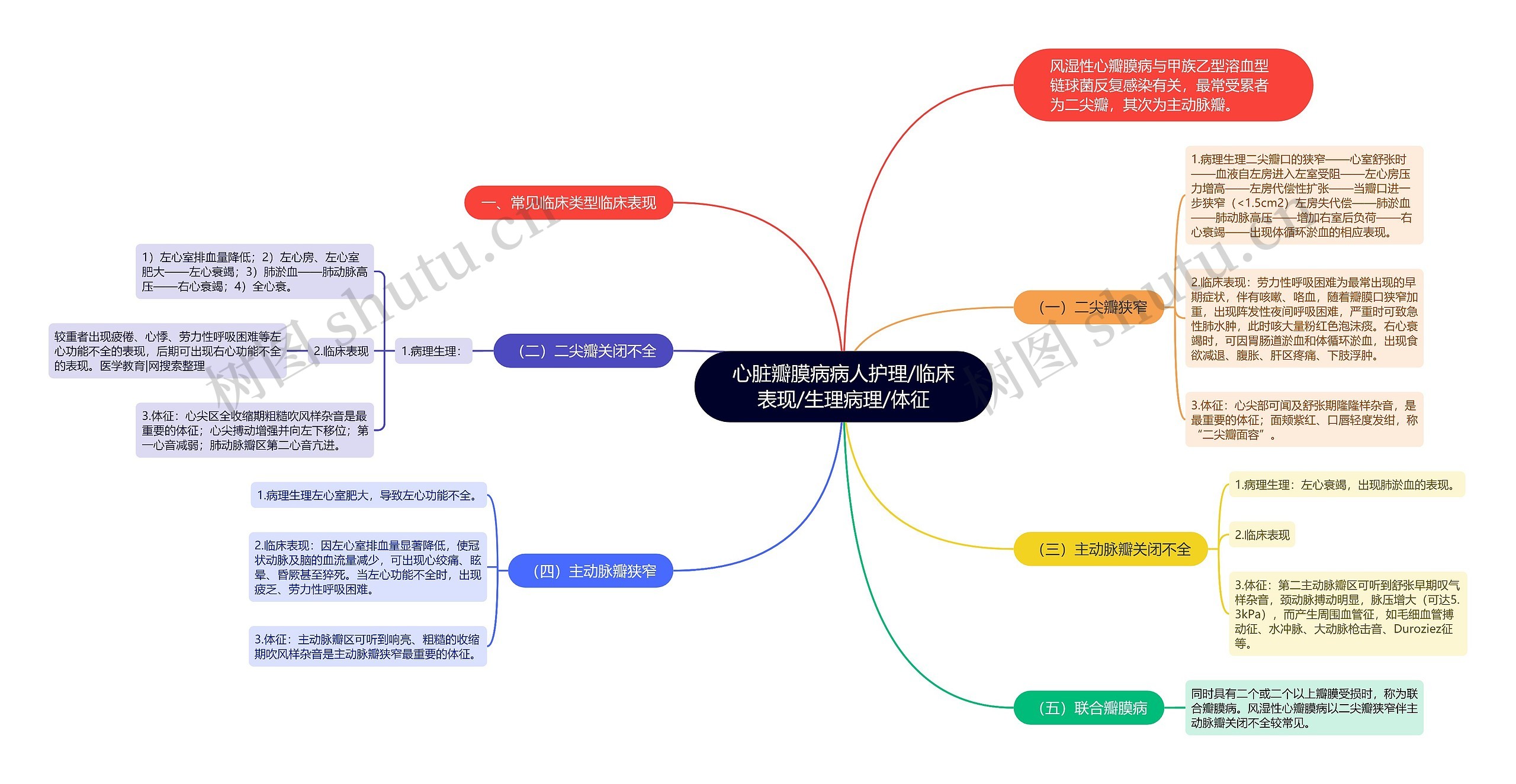 心脏瓣膜病病人护理/临床表现/生理病理/体征