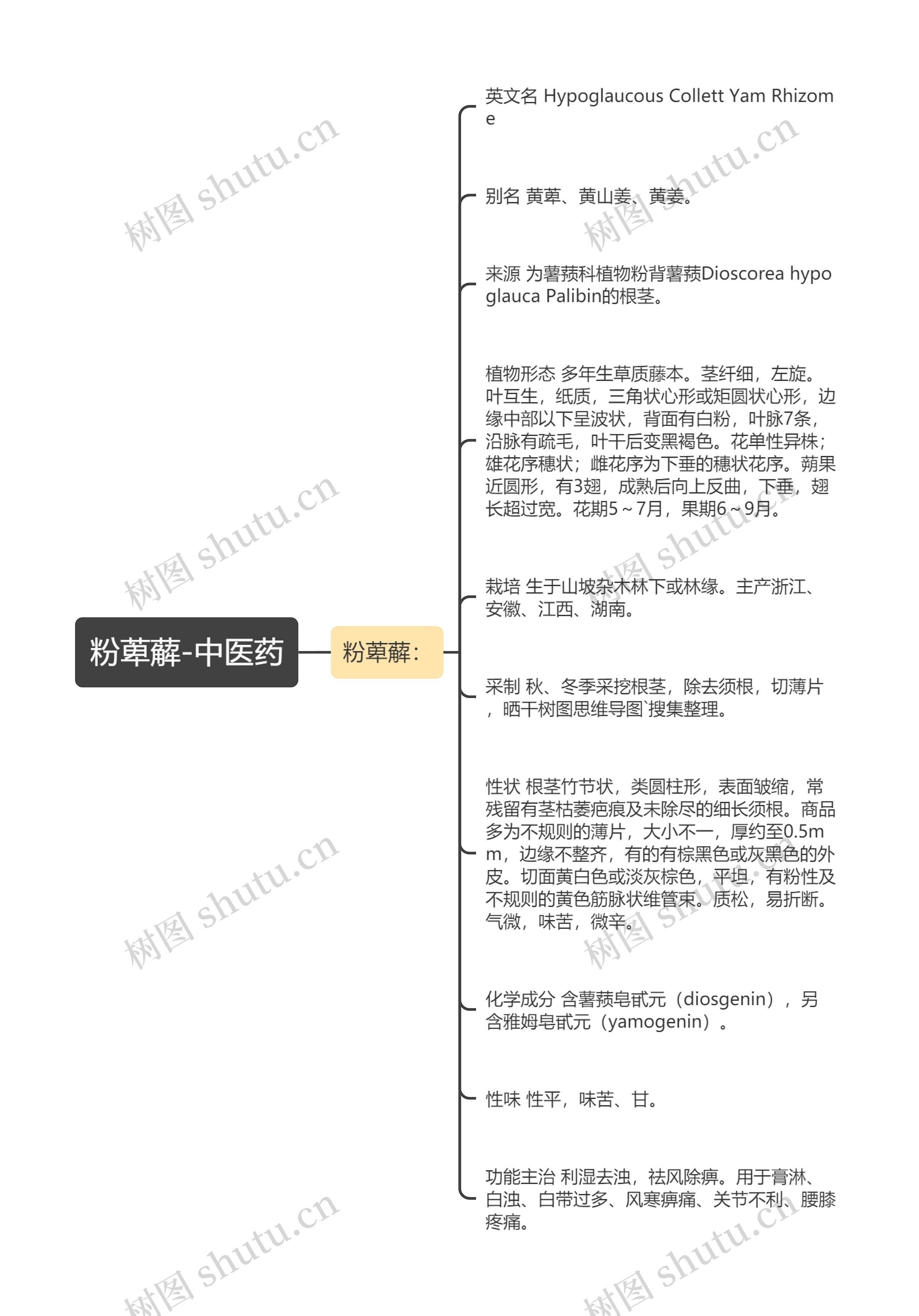 粉萆薢-中医药思维导图