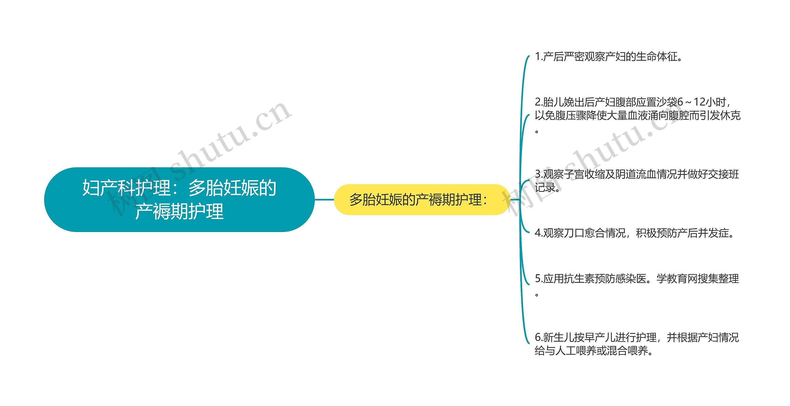 妇产科护理：多胎妊娠的产褥期护理