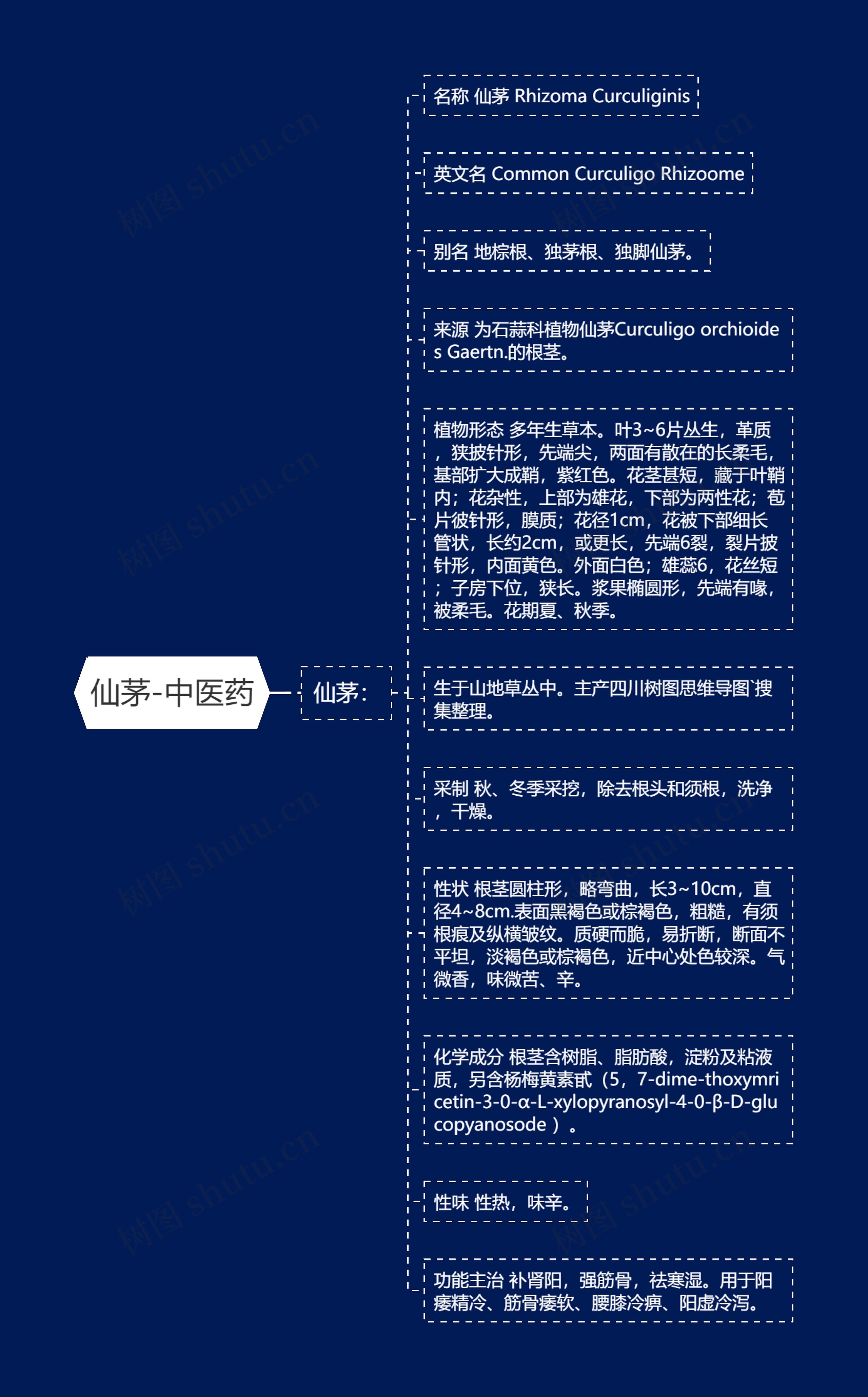 仙茅-中医药 仙茅-中医药