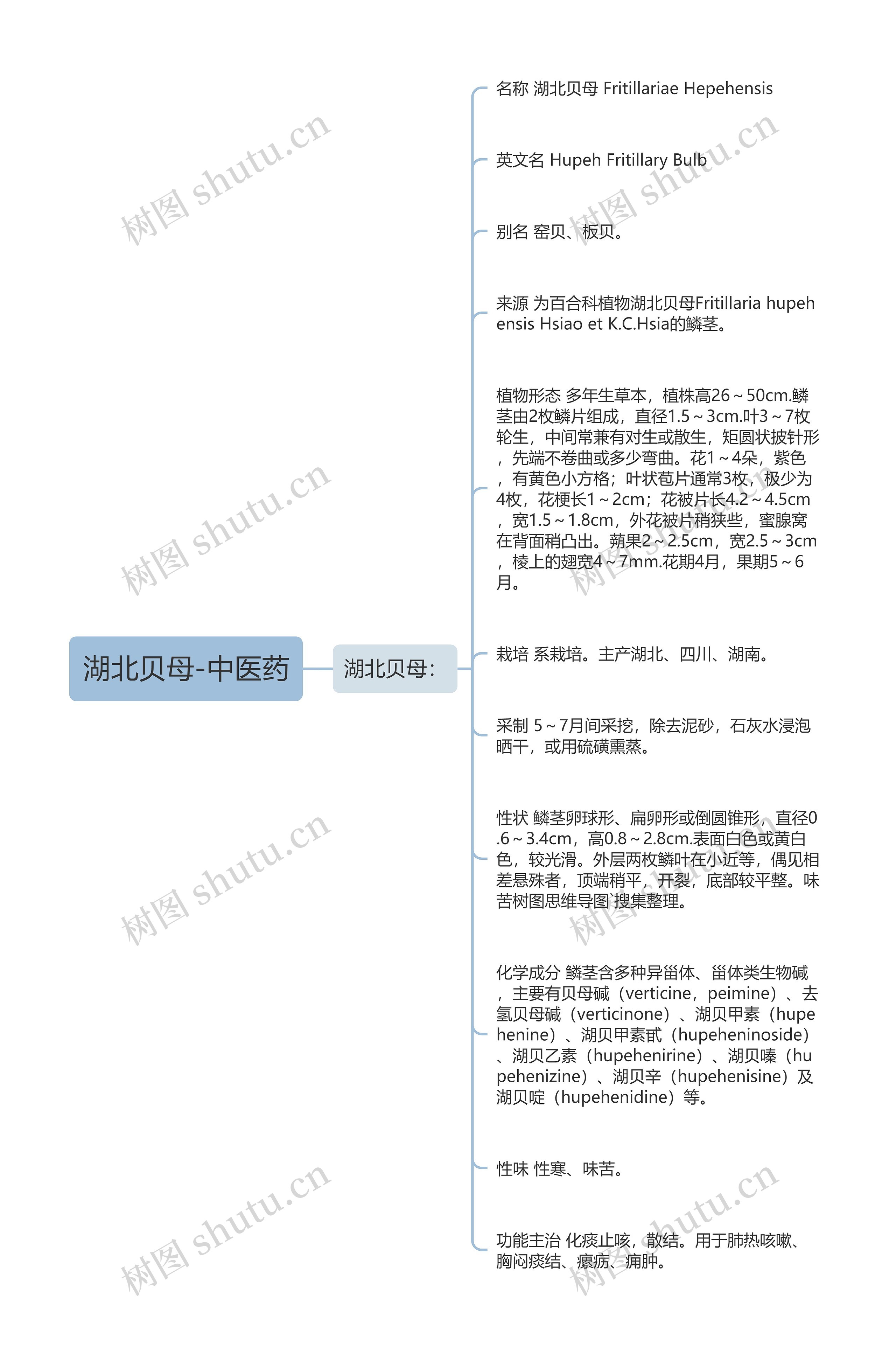 湖北贝母-中医药思维导图高清图 湖北贝母-中医药思维导图