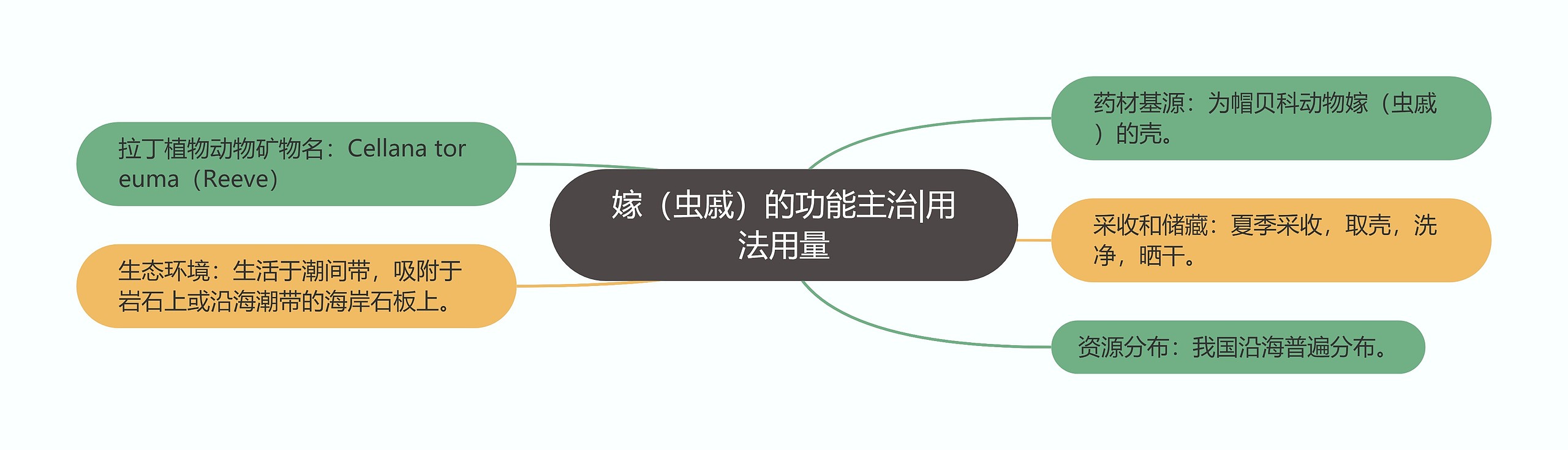 嫁(虫戚)的功能主治|用法用量 嫁(虫戚)的功能主治|用法用量