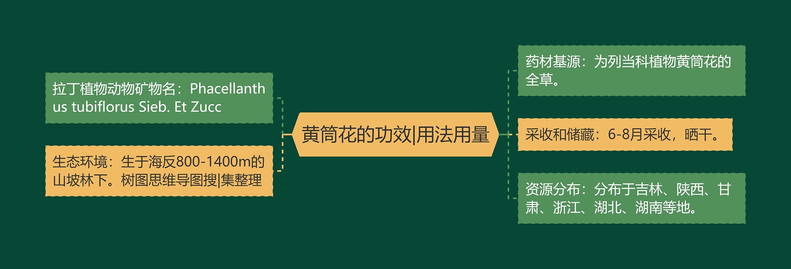 黄筒花的功效|用法用量 黄筒花的功效|用法用量