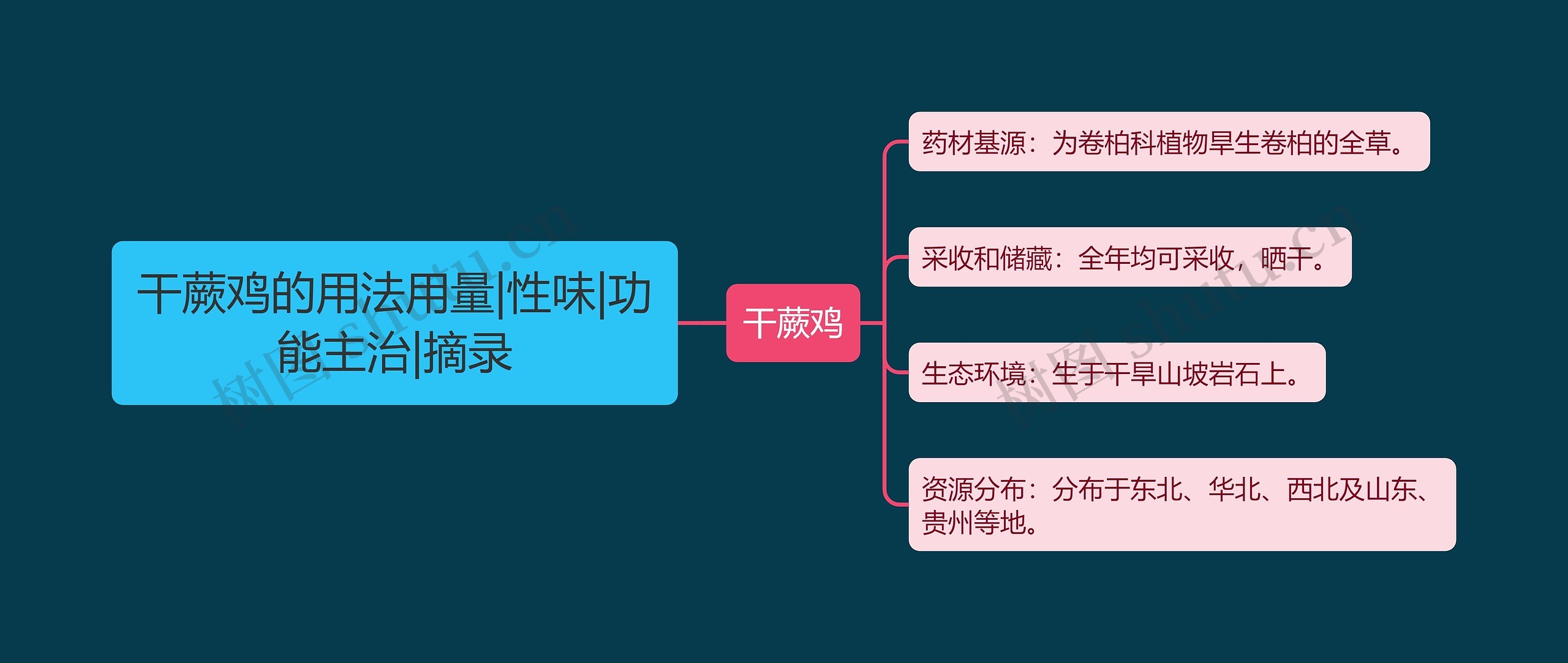 干蕨鸡的用法用量|性味|功能主治|摘录思维导图