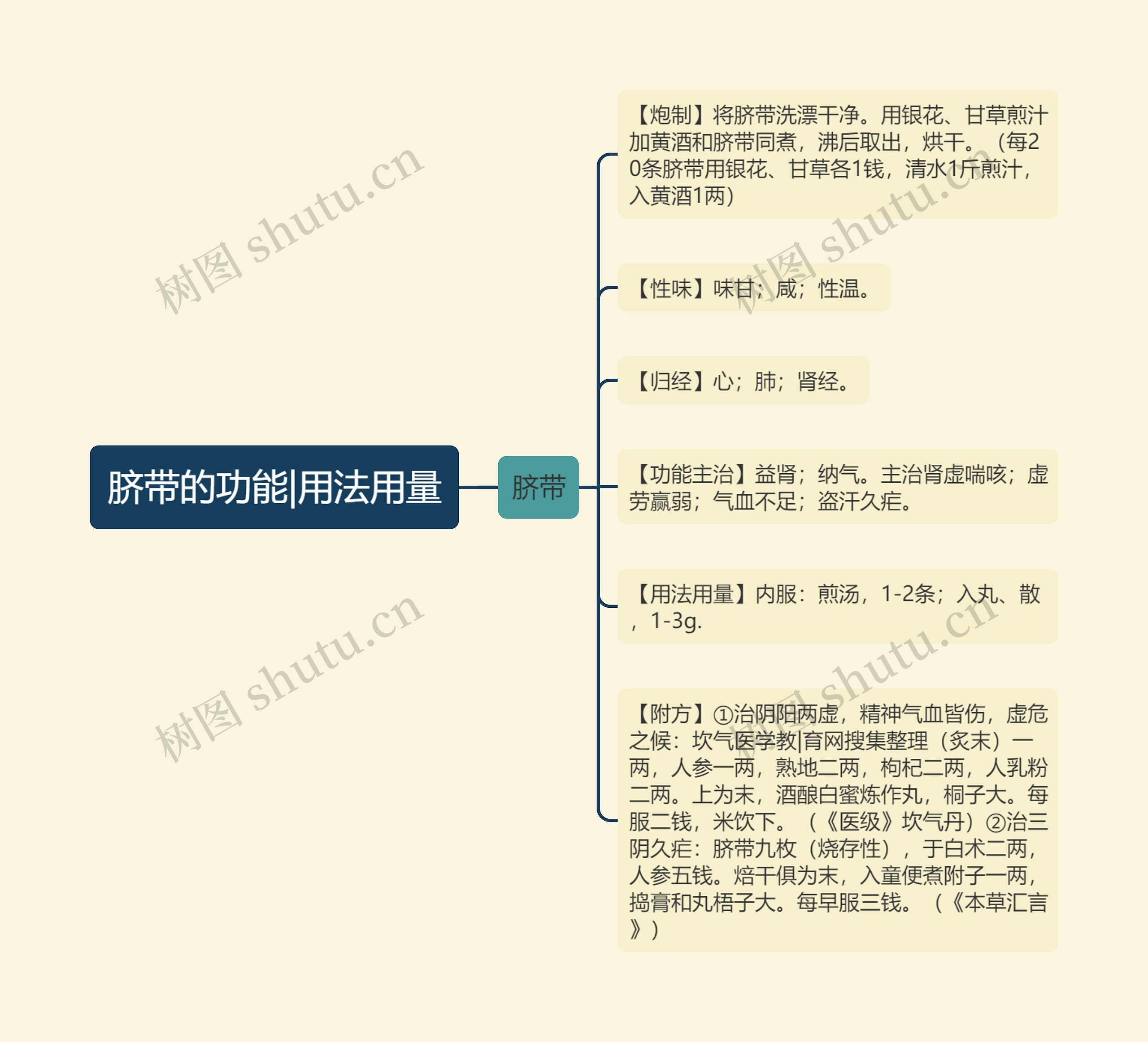 脐带的功能|用法用量