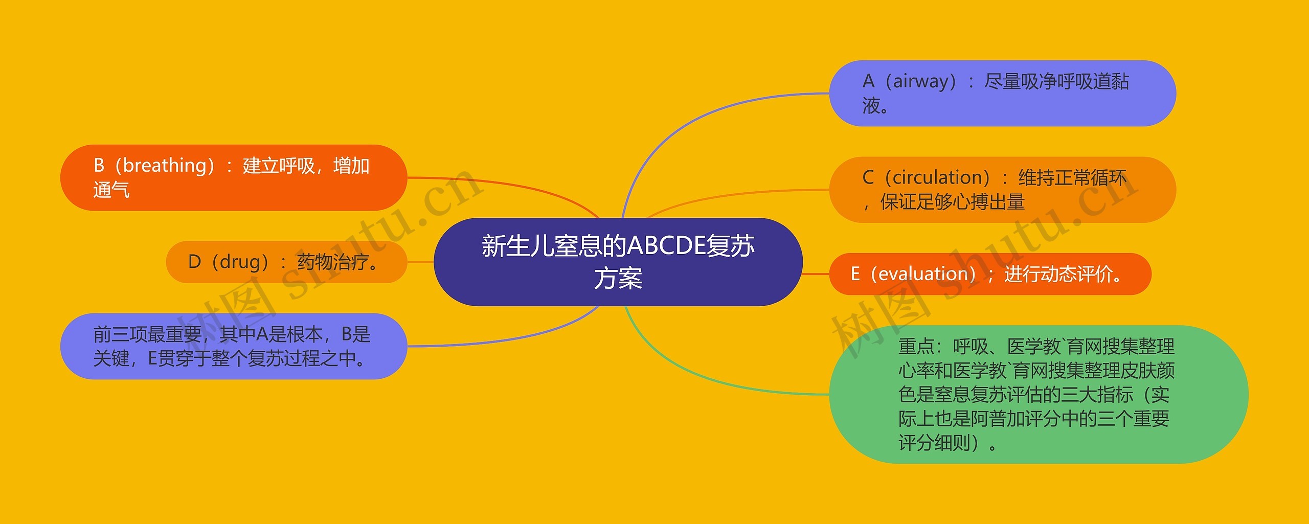 新生儿窒息的ABCDE复苏方案 新生儿窒息的ABCDE复苏方案