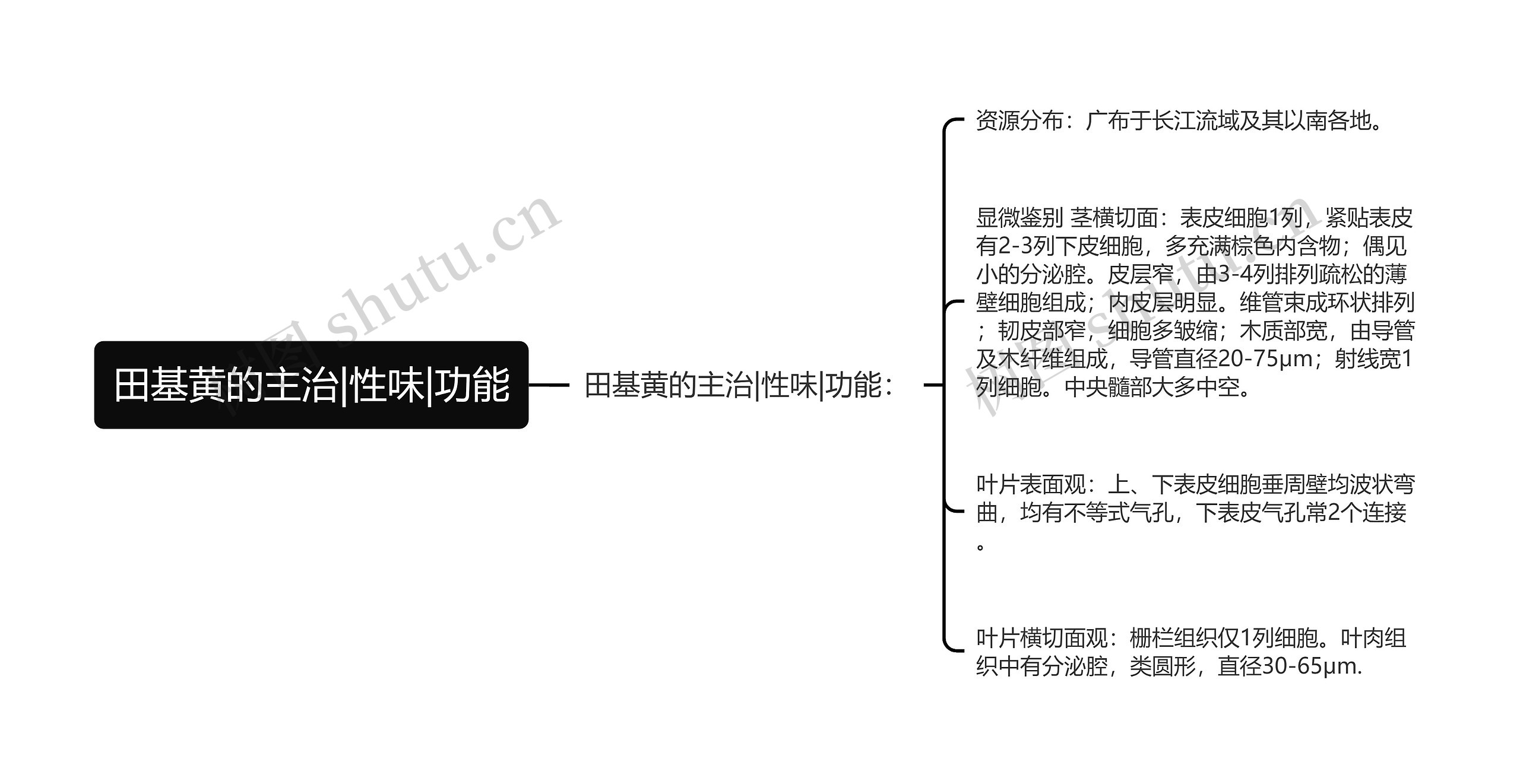 田基黄的主治|性味|功能思维导图