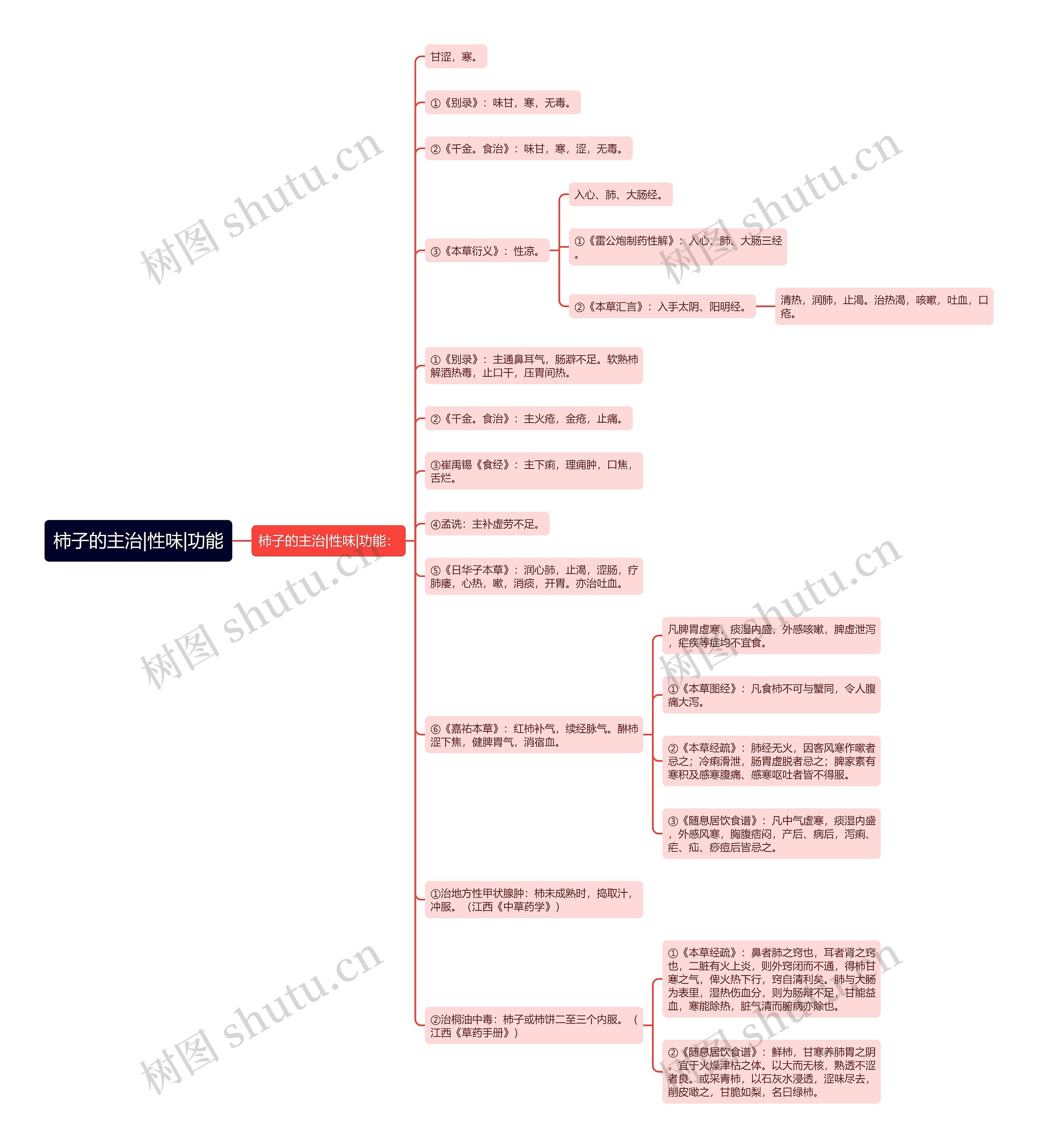 柿子的主治|性味|功能思维导图
