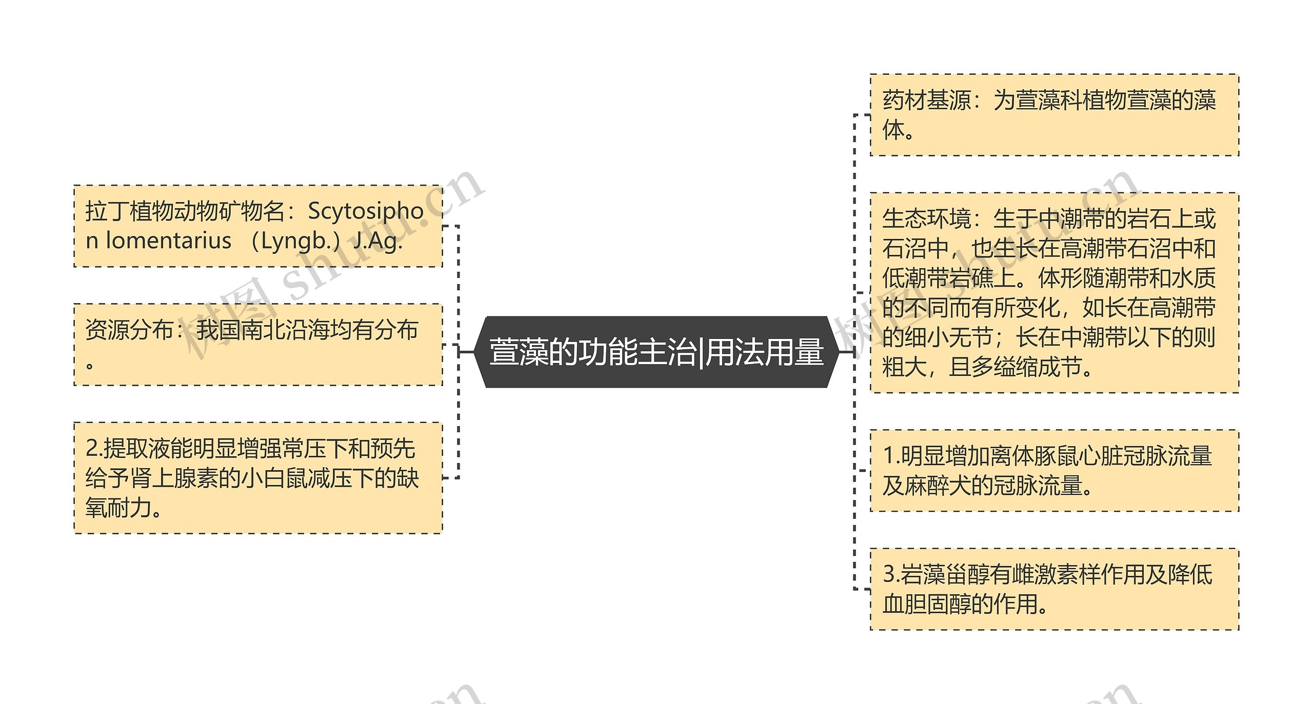 萱藻的功能主治|用法用量思维导图