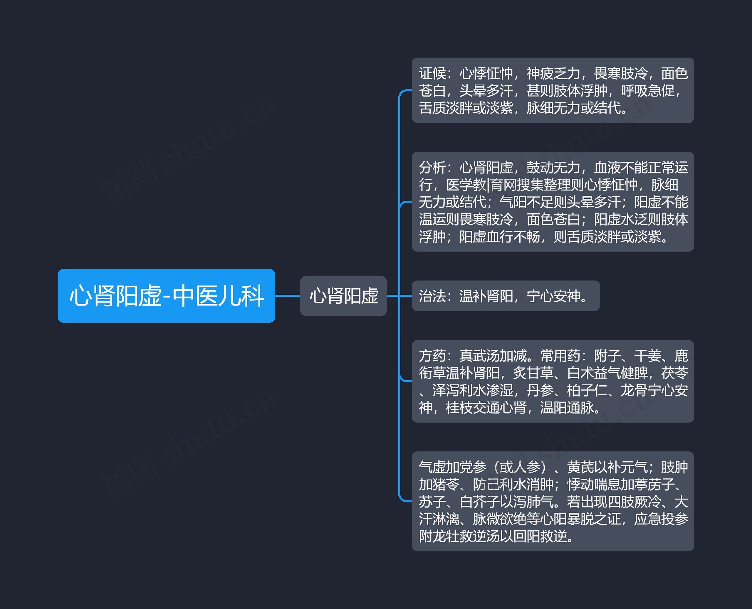 心肾阳虚-中医儿科