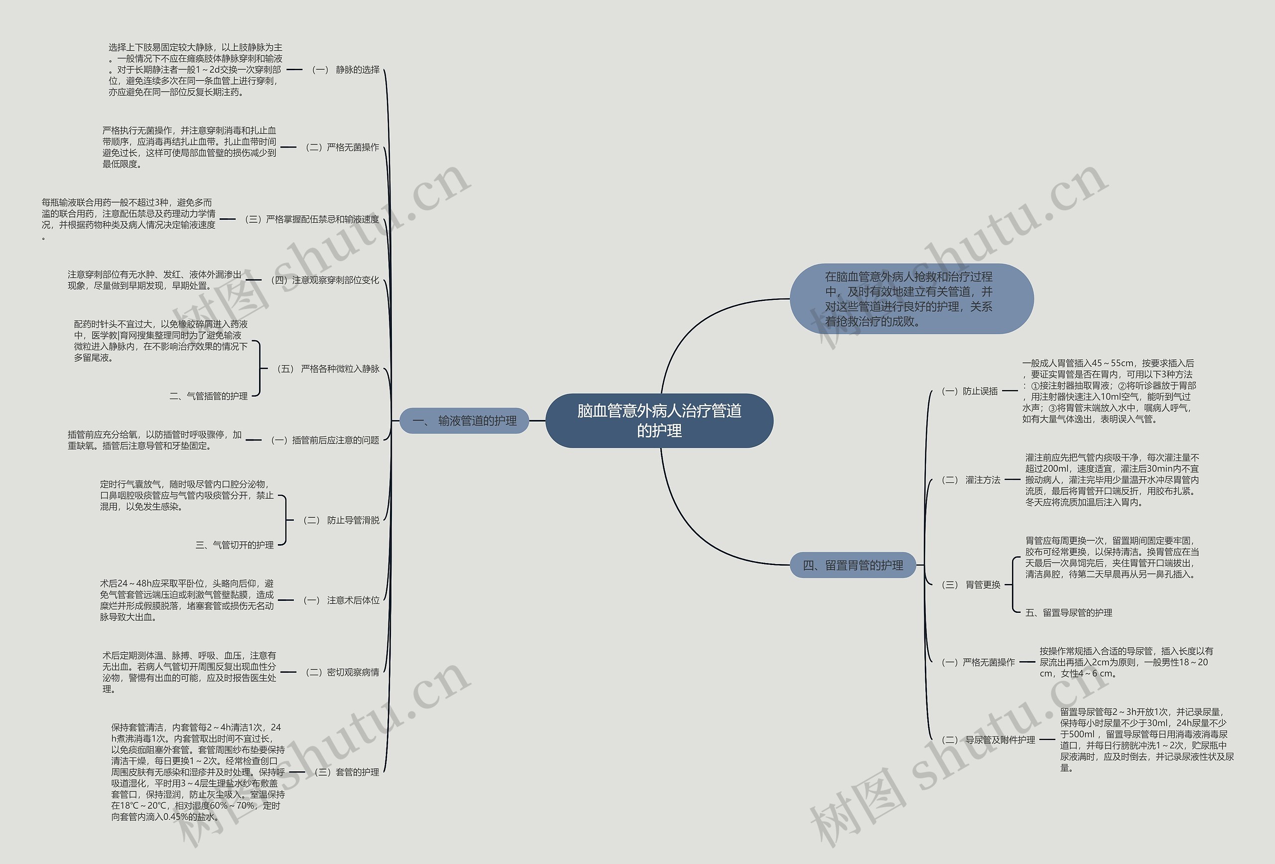 脑血管意外病人治疗管道的护理思维导图