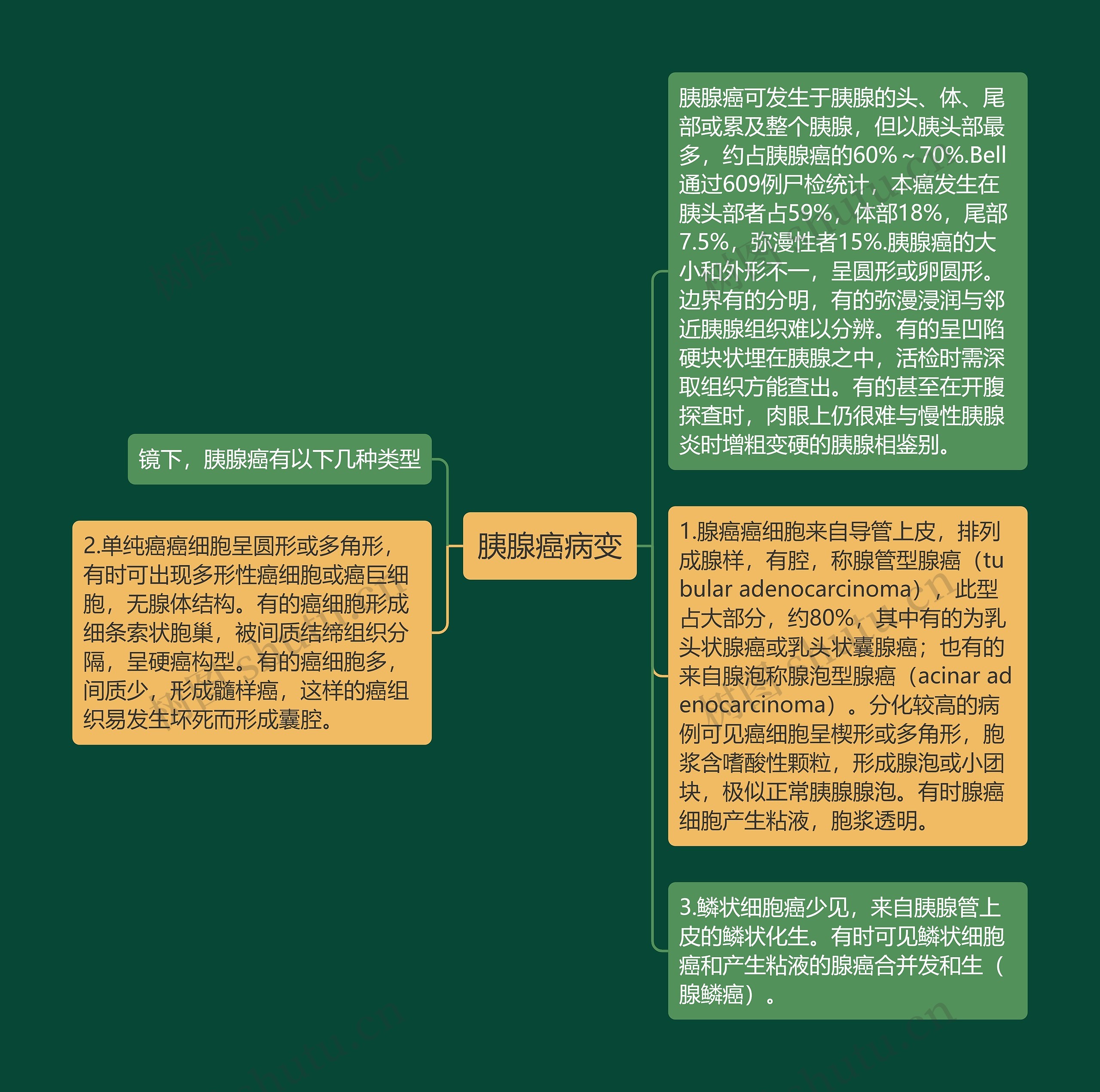 胰腺癌病变 胰腺癌病变