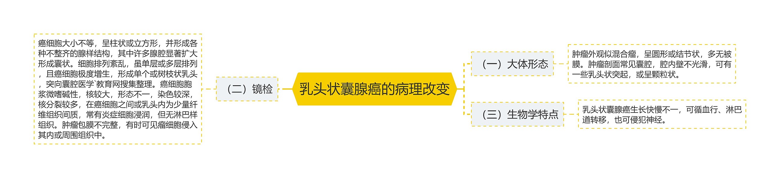 乳头状囊腺癌的病理改变