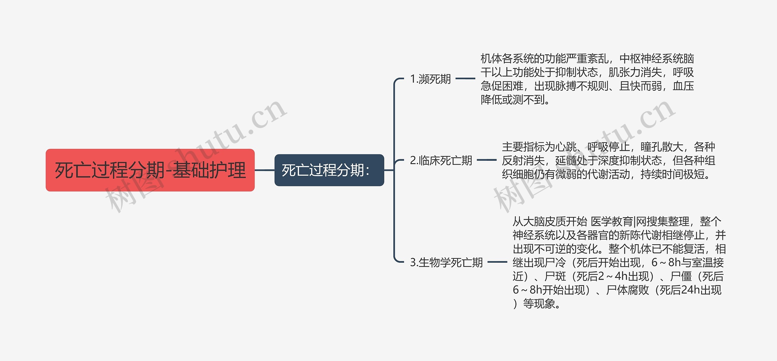 死亡过程分期-基础护理