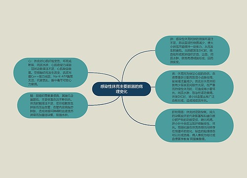 感染性休克主要脏器的病理变化