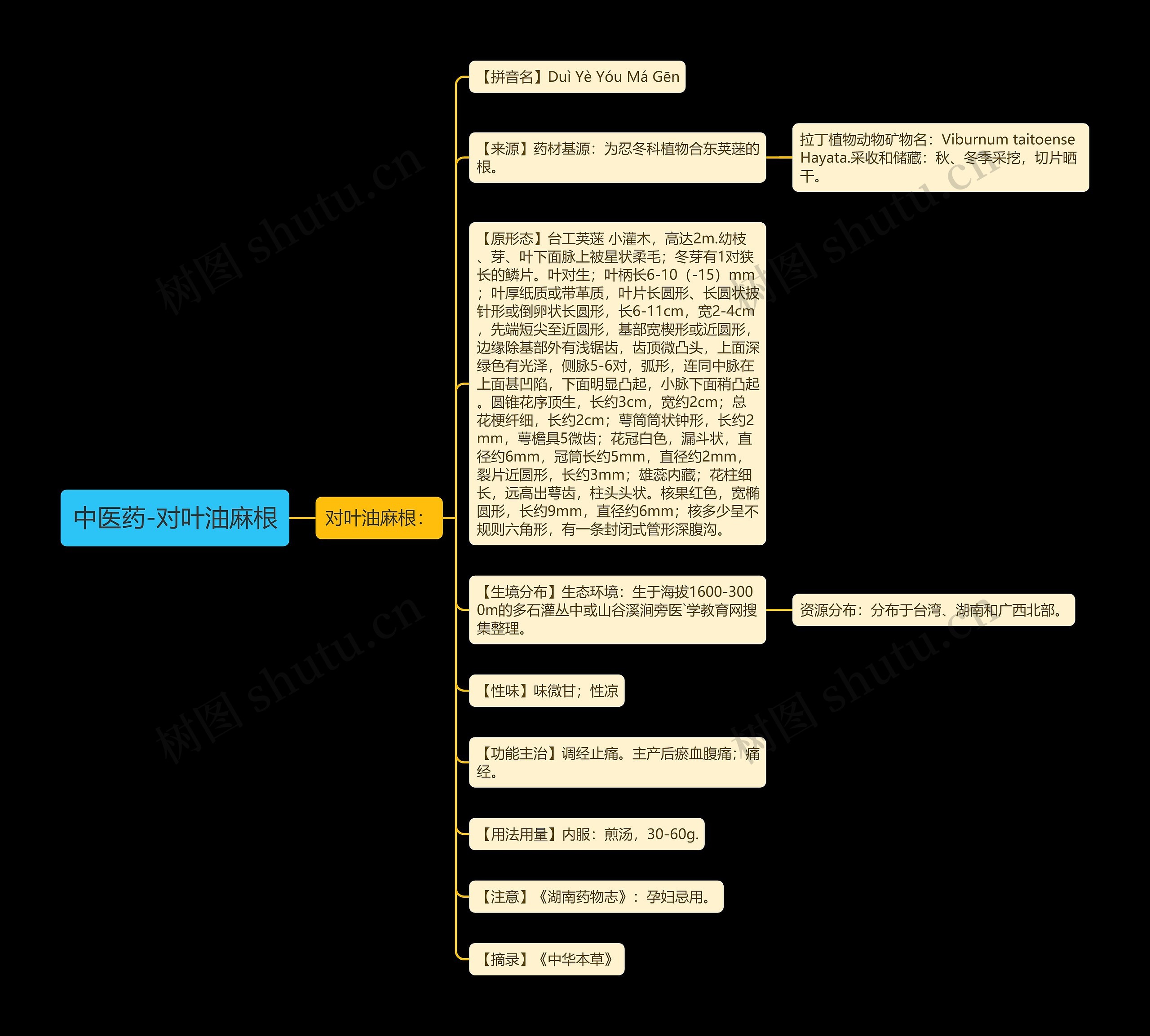 中医药-对叶油麻根思维导图