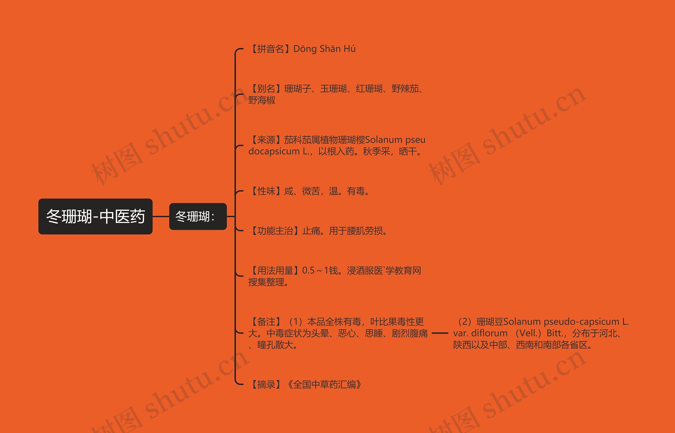 冬珊瑚-中医药思维导图