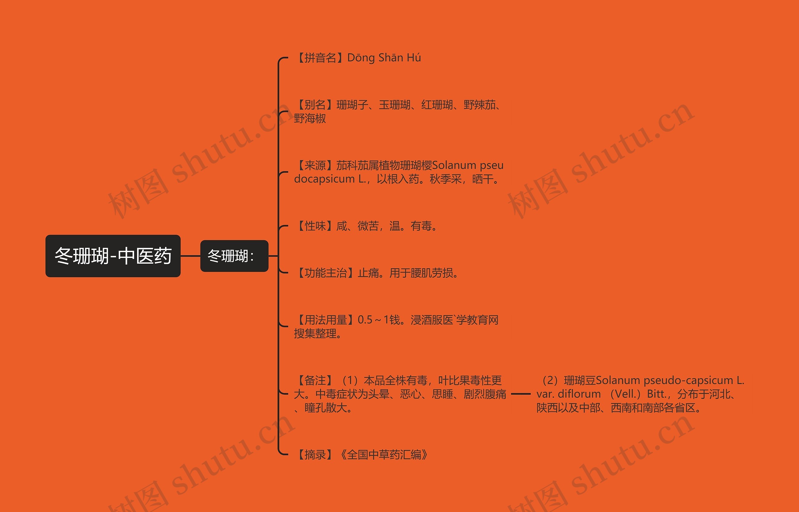 冬珊瑚-中医药 冬珊瑚-中医药
