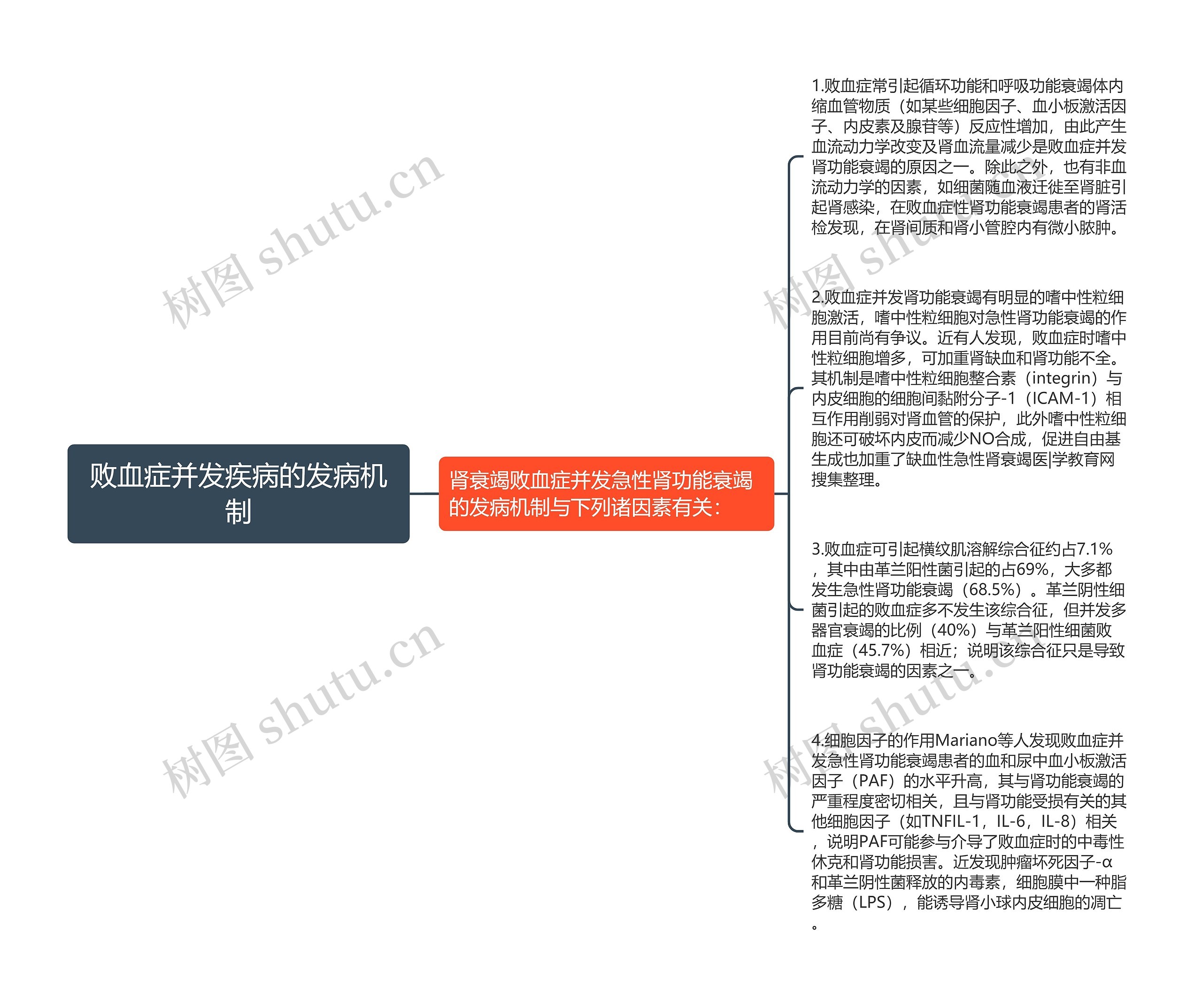 败血症并发疾病的发病机制思维导图