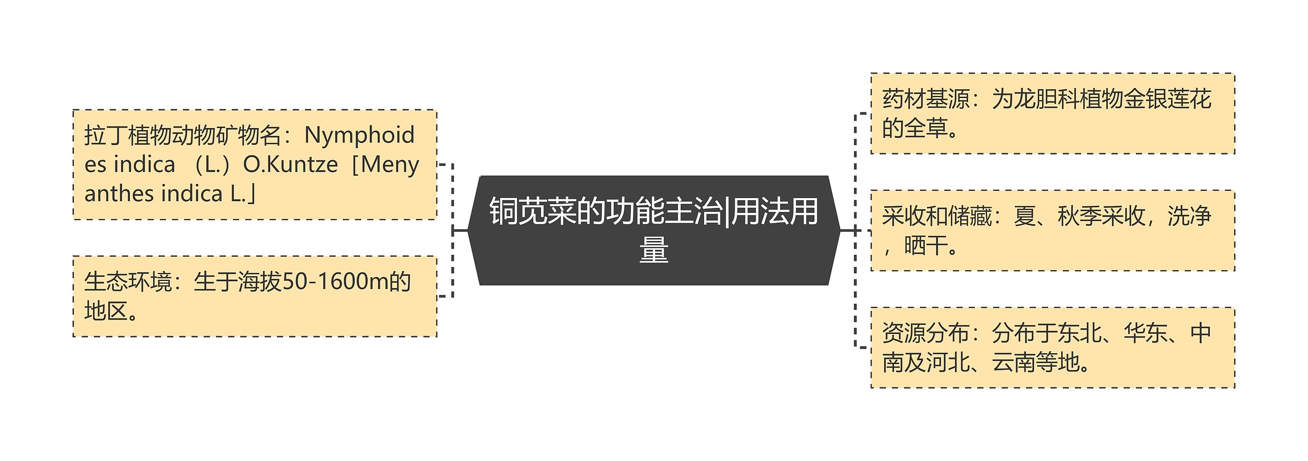 铜苋菜的功能主治|用法用量 铜苋菜的功能主治|用法用量