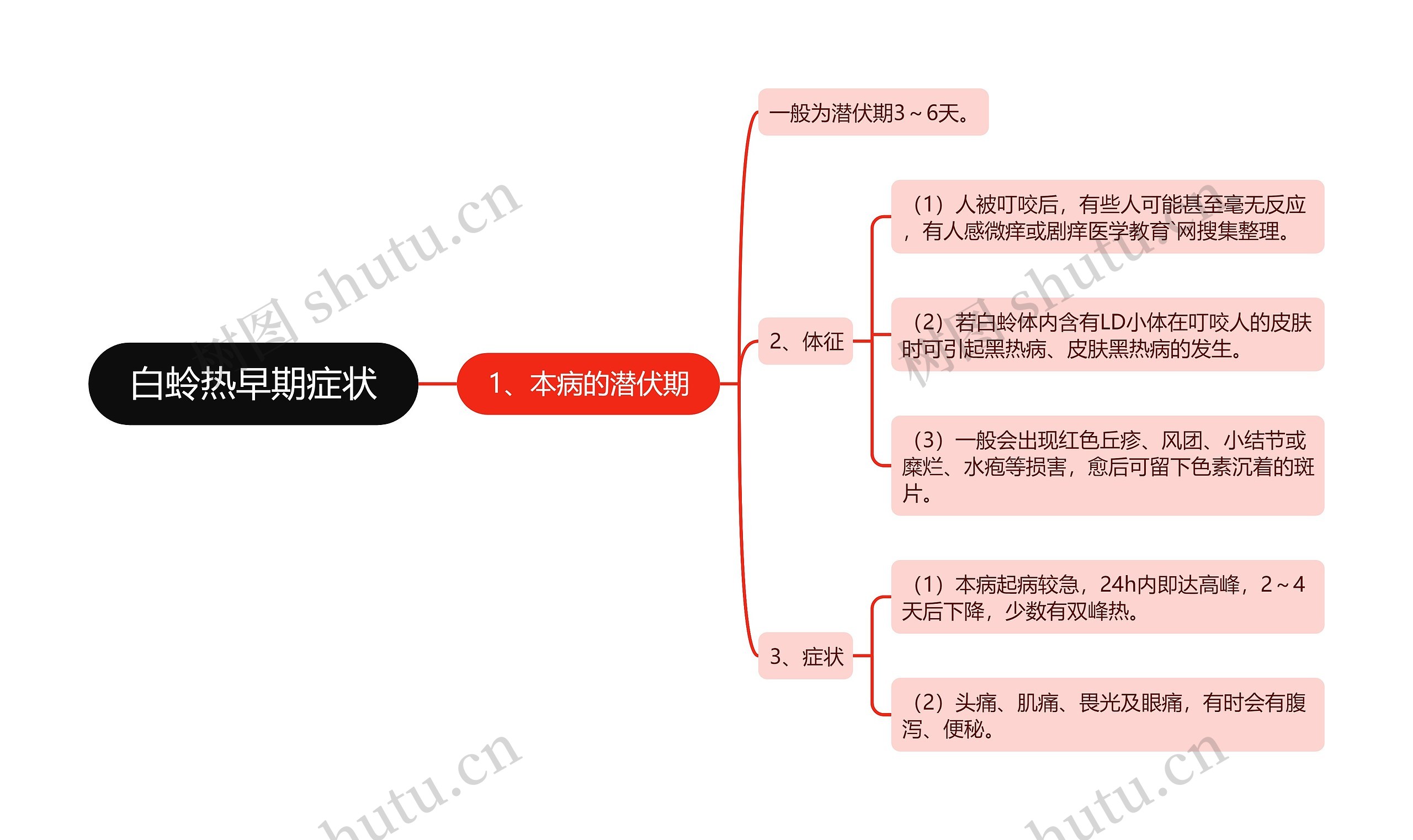 白蛉热早期症状思维导图