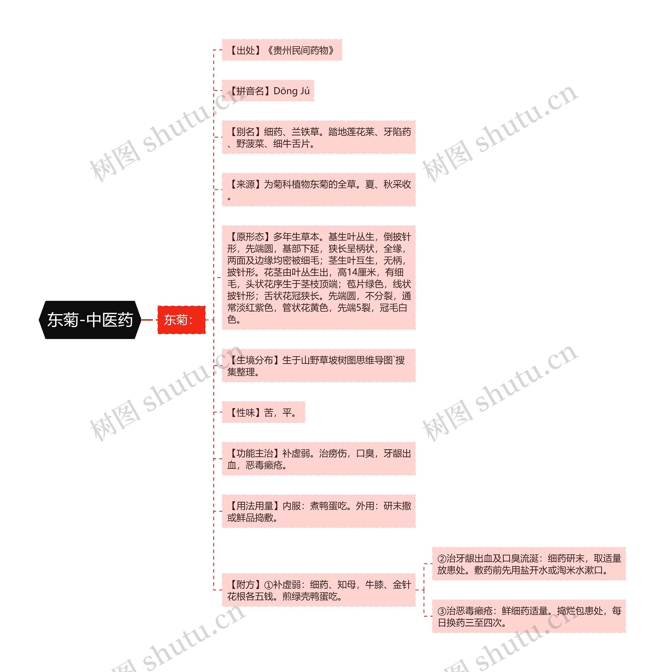 东菊-中医药 东菊-中医药