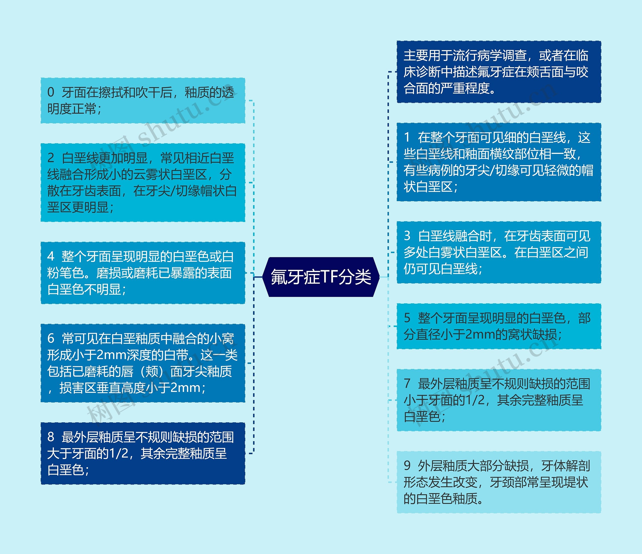 氟牙症TF分类思维导图