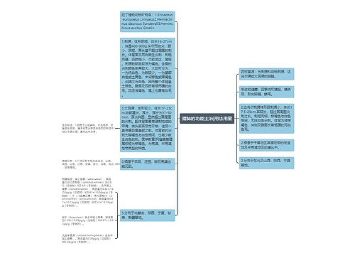 猬脑的功能主治|用法用量