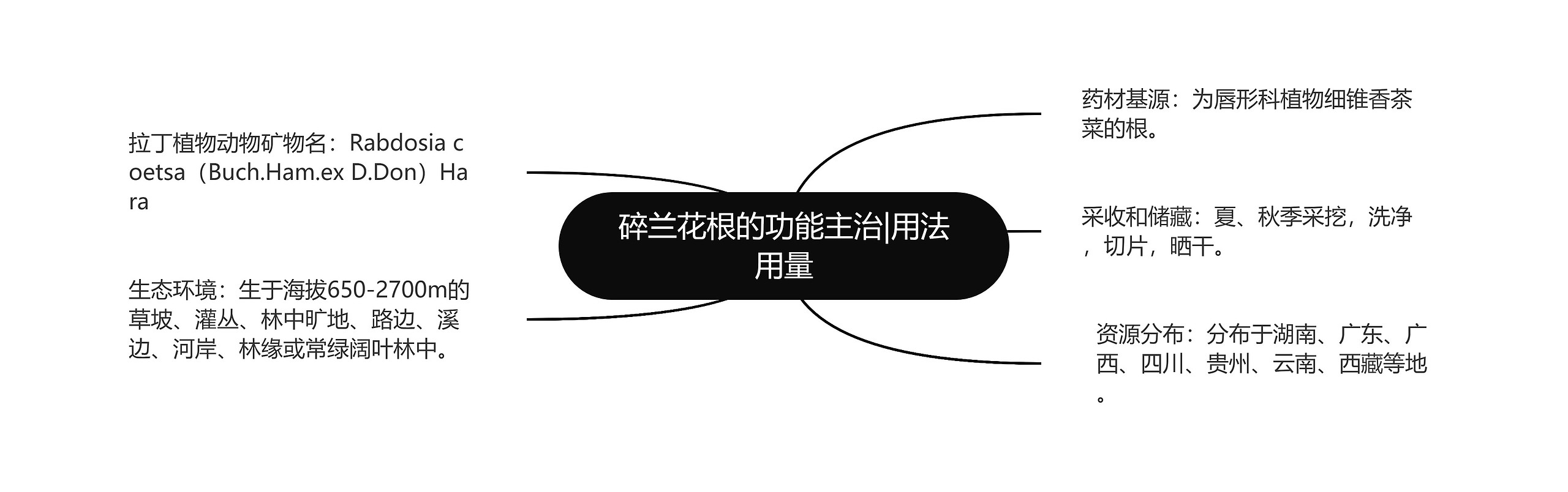 碎兰花根的功能主治|用法用量 碎兰花根的功能主治|用法用量