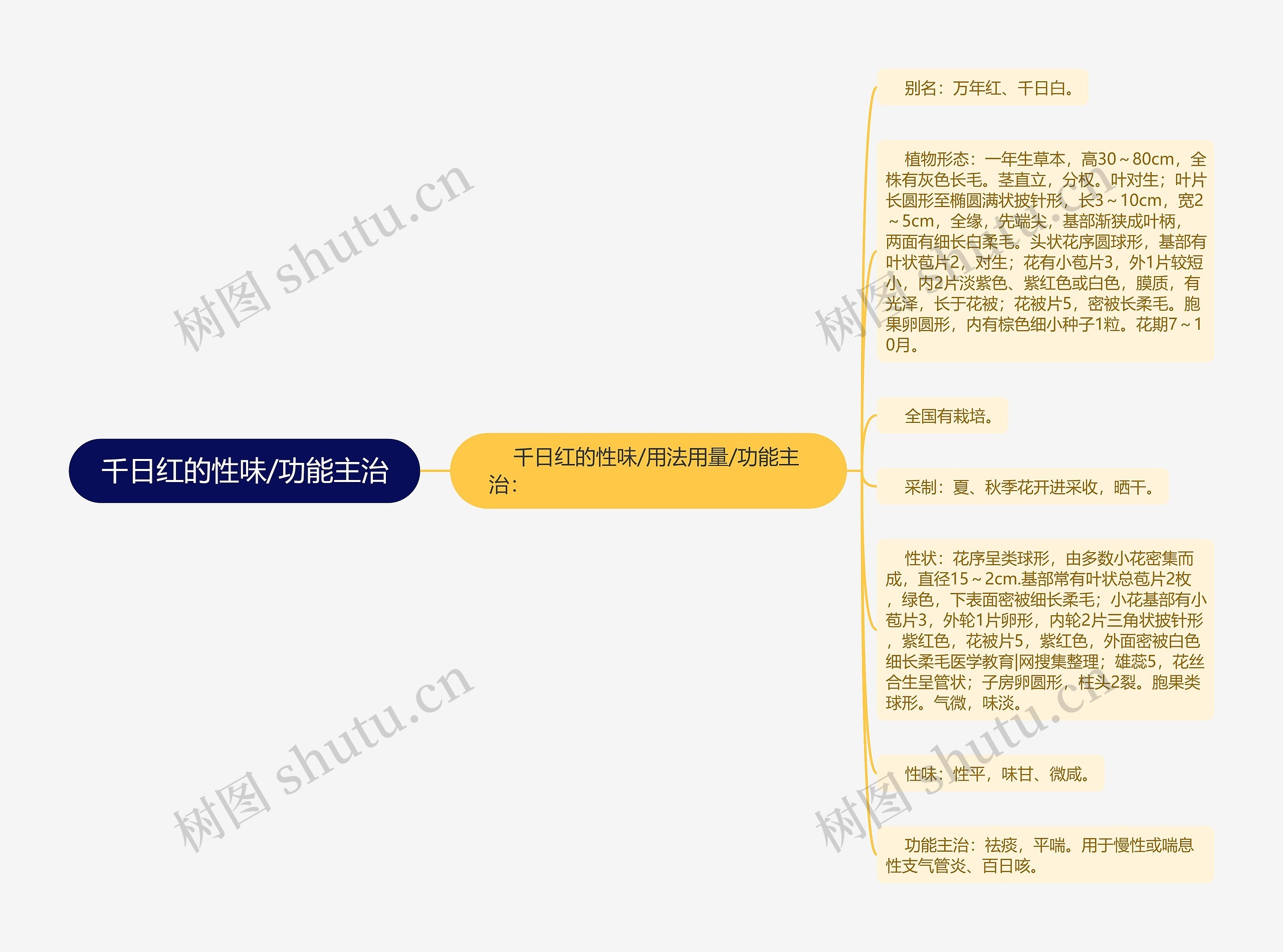 千日红的性味/功能主治思维导图