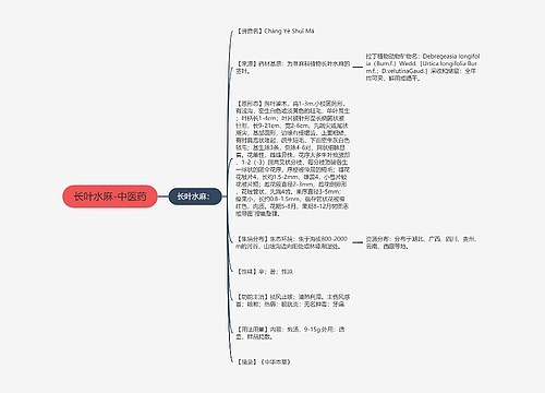 长叶水麻-中医药