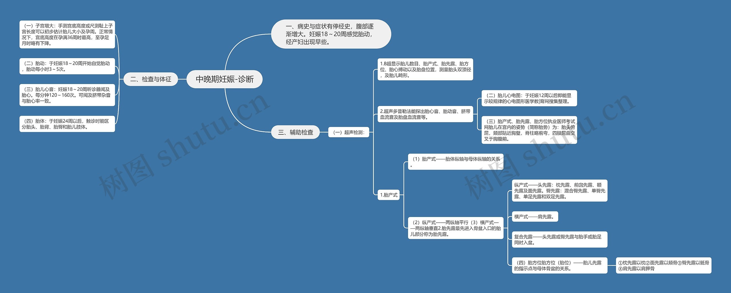 中晚期妊娠-诊断思维导图